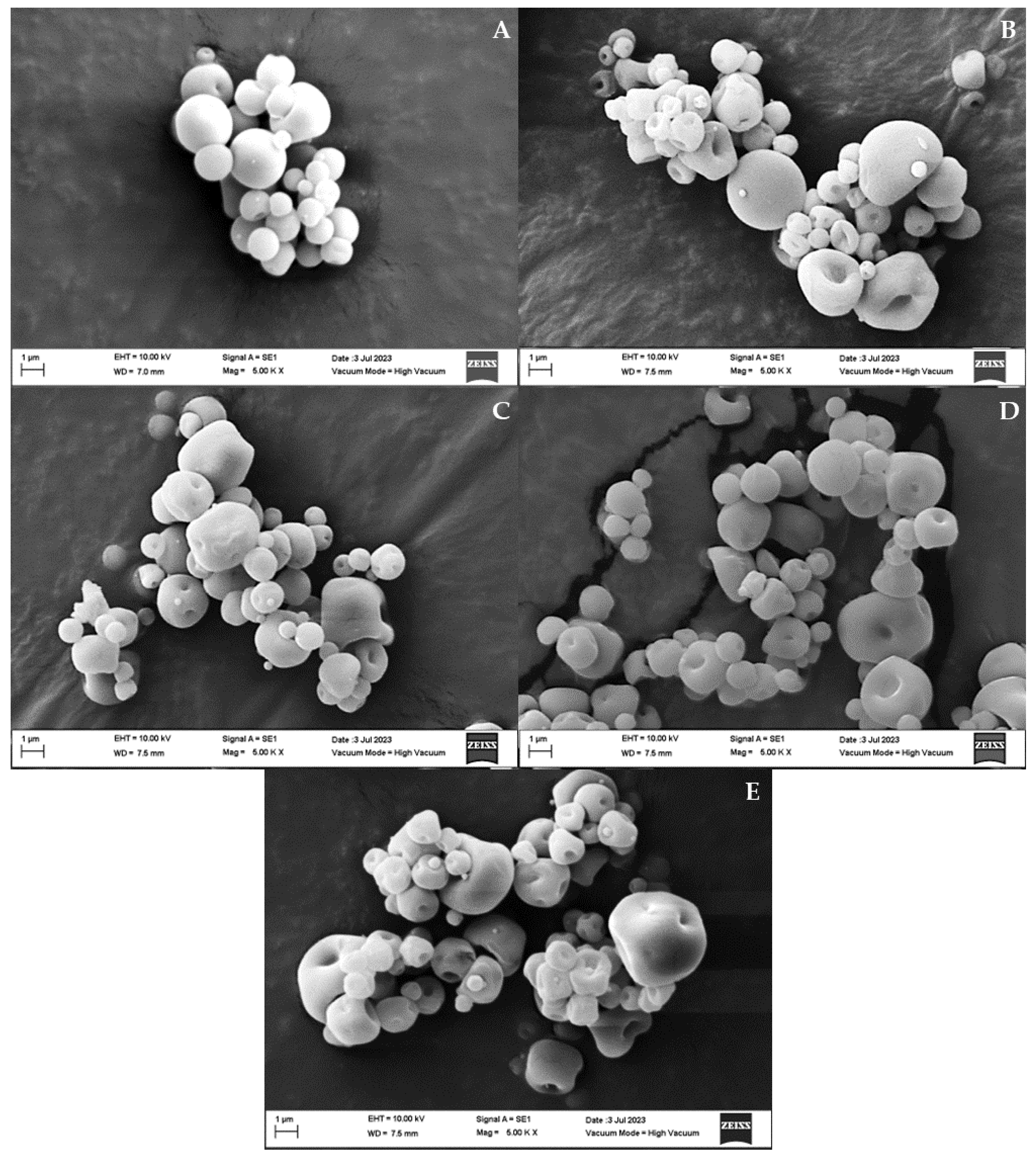 Polymers 15 03014 g003 Polymers 15 03014 g003
