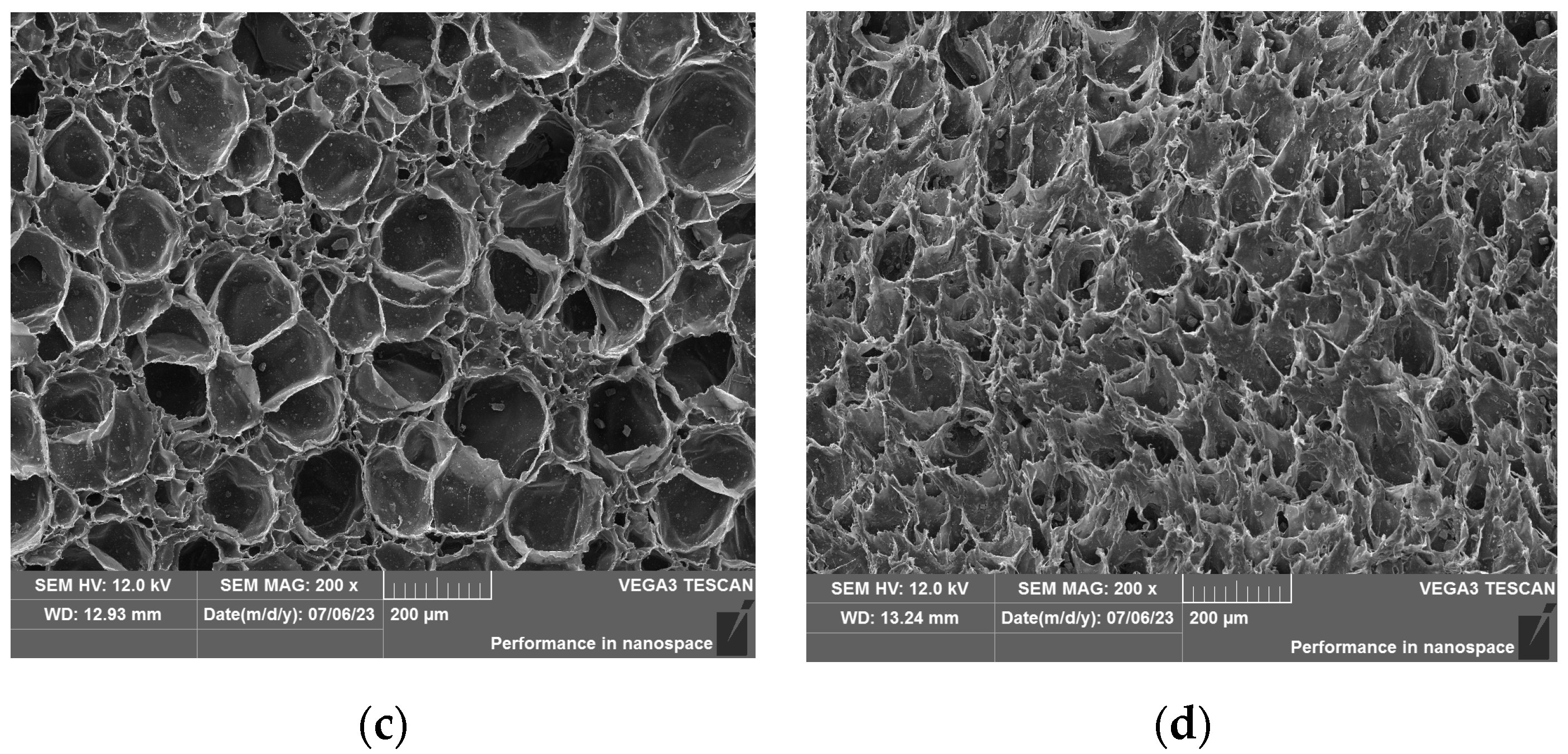Polymers 15 03016 g001b Polymers 15 03016 g001b