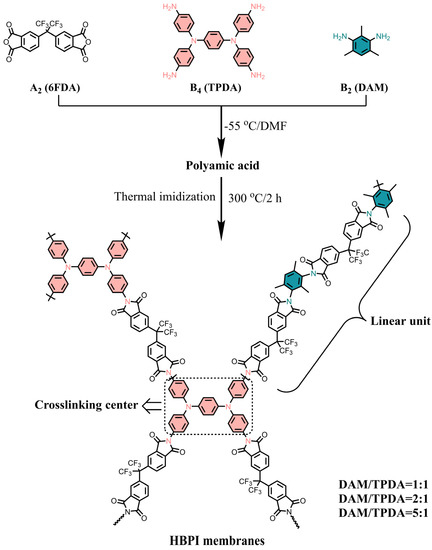 Tetramine-Based Hyperbranched Polyimide Membranes with Rigid