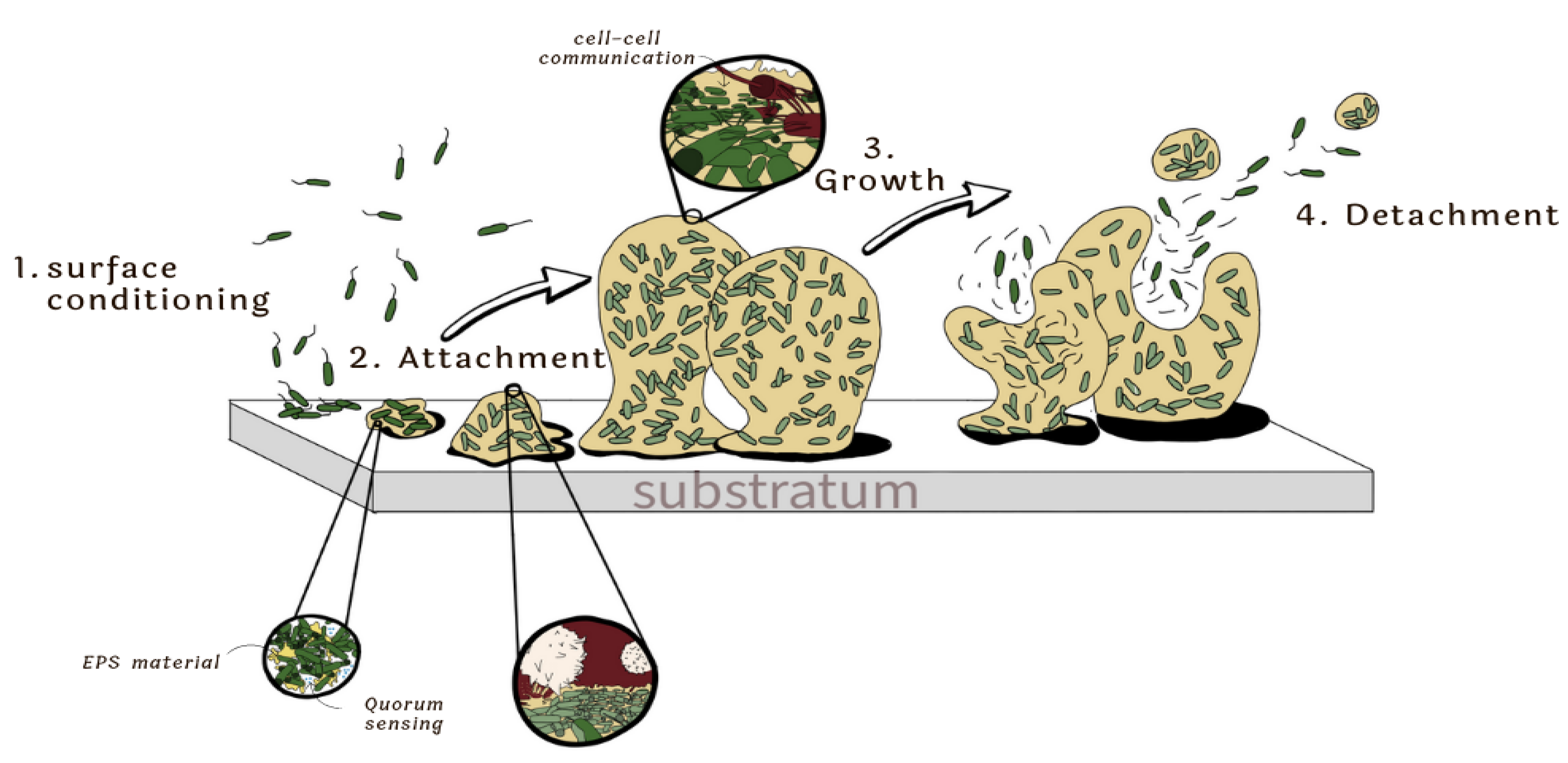 Polymers 15 03021 g001