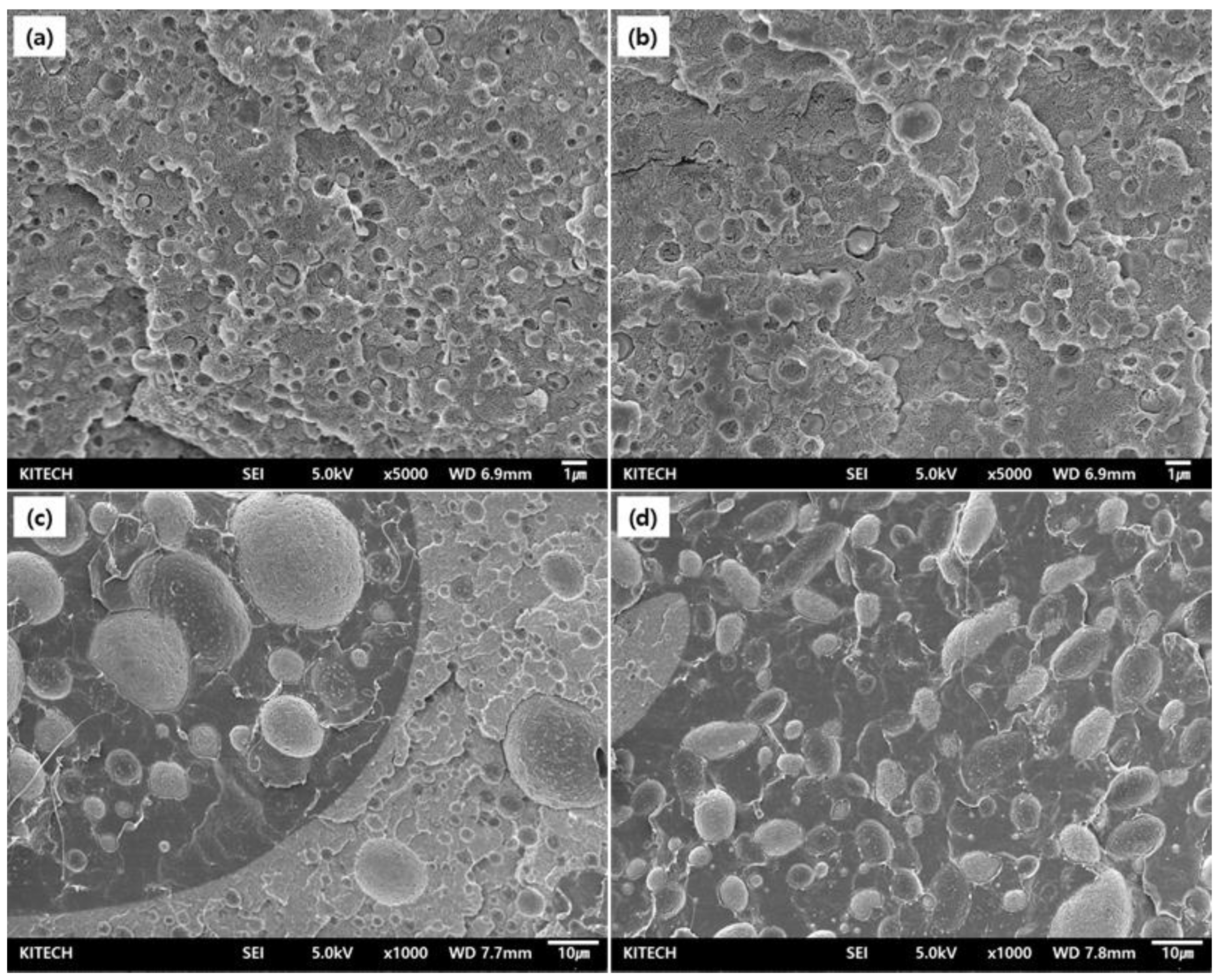 Polymers 15 03025 g004