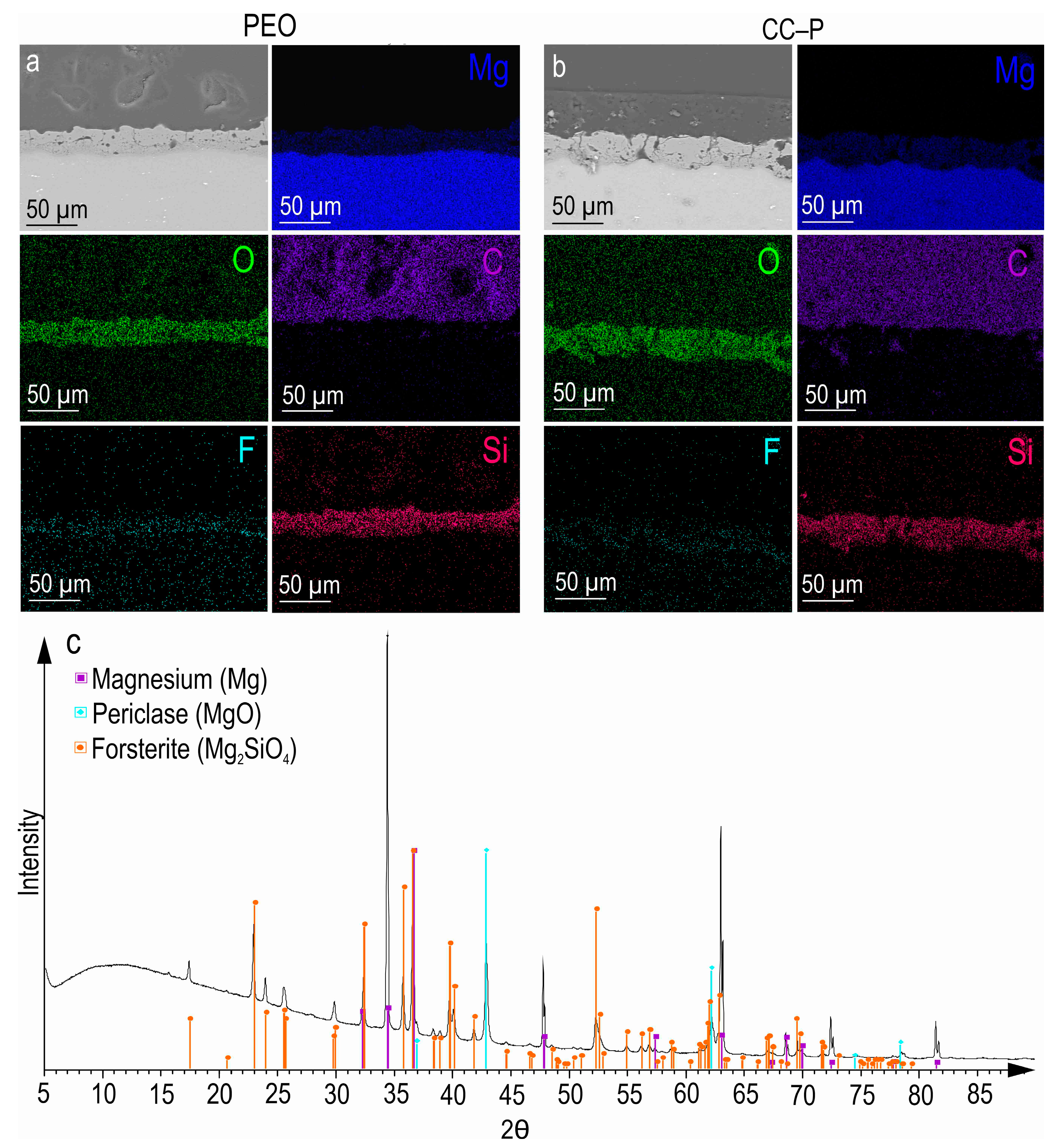 Polymers 15 03035 g001