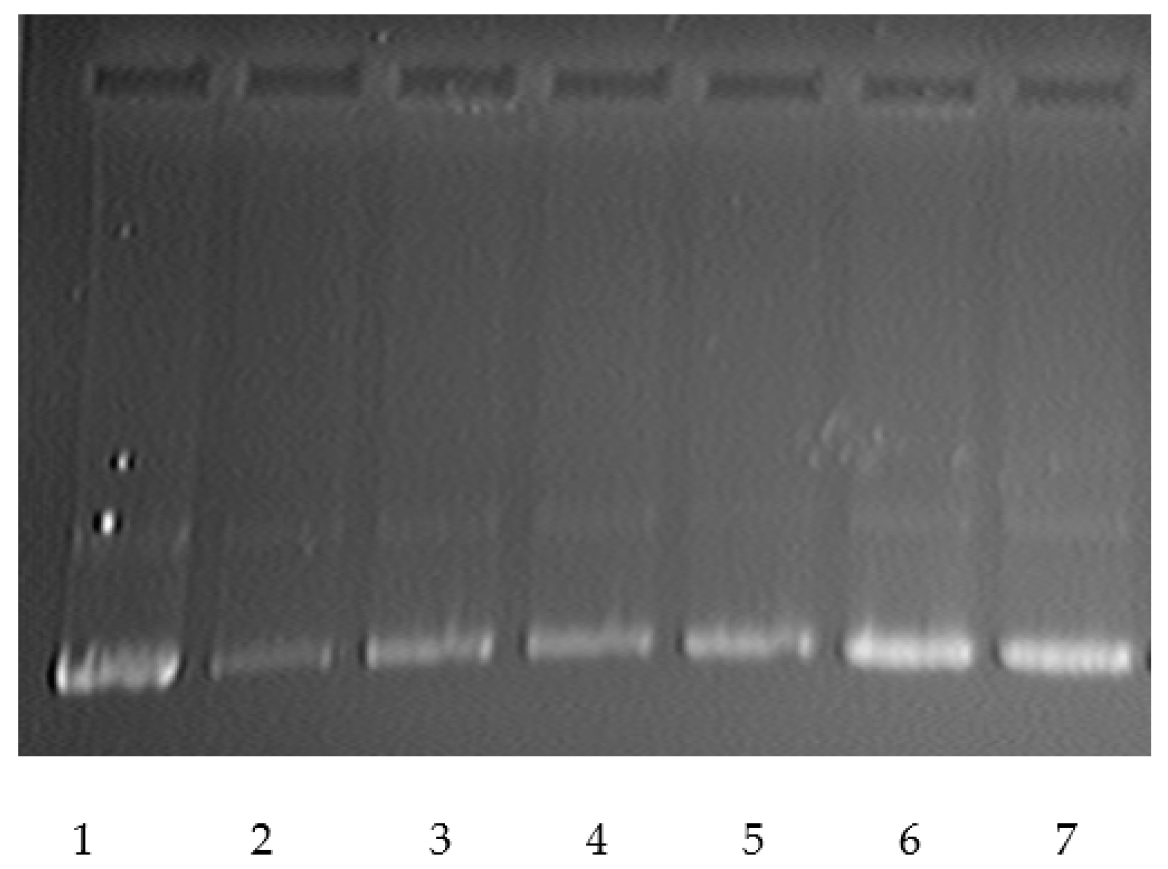 Polymers 15 03036 g010 Polymers 15 03036 g010