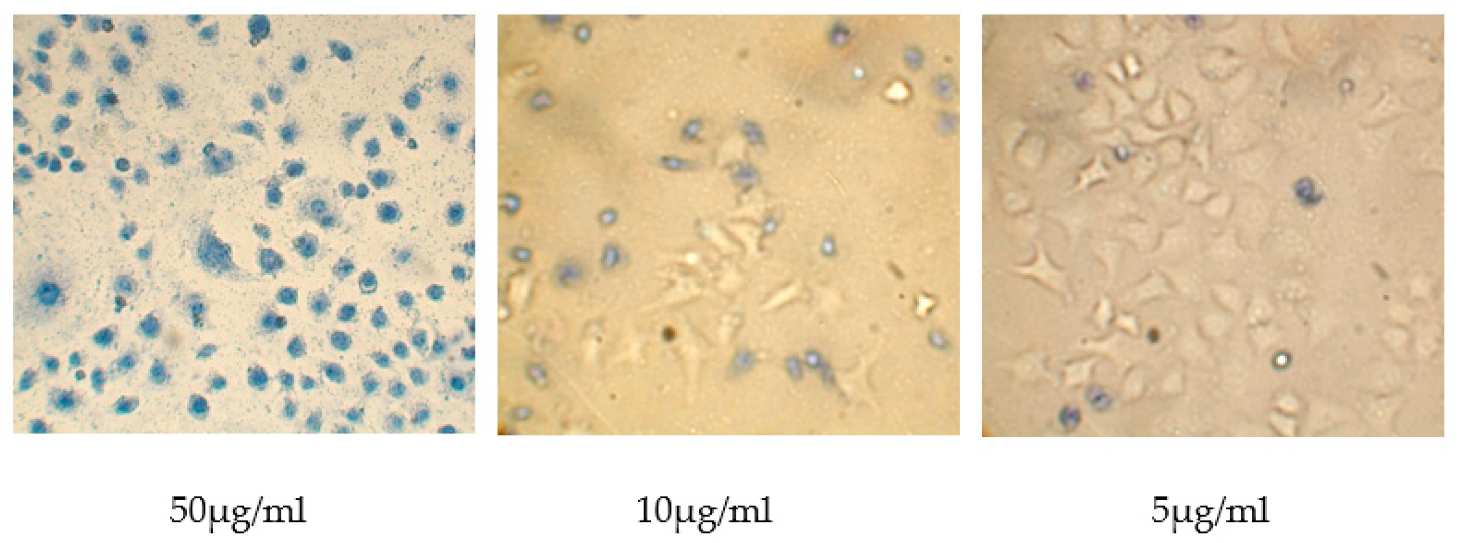 Polymers 15 03036 g012 Polymers 15 03036 g012