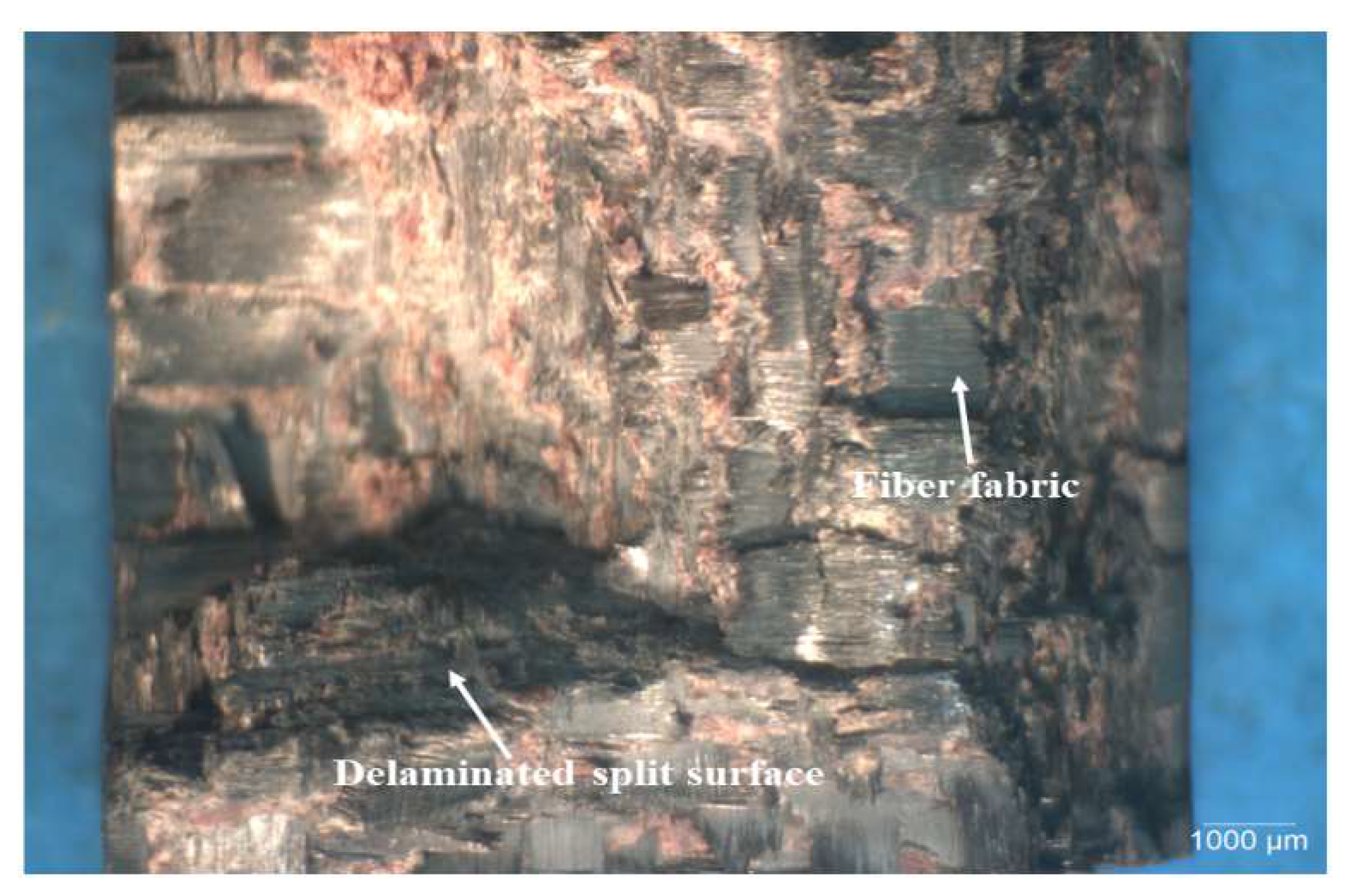 Polymers 15 03038 g023 Polymers 15 03038 g023