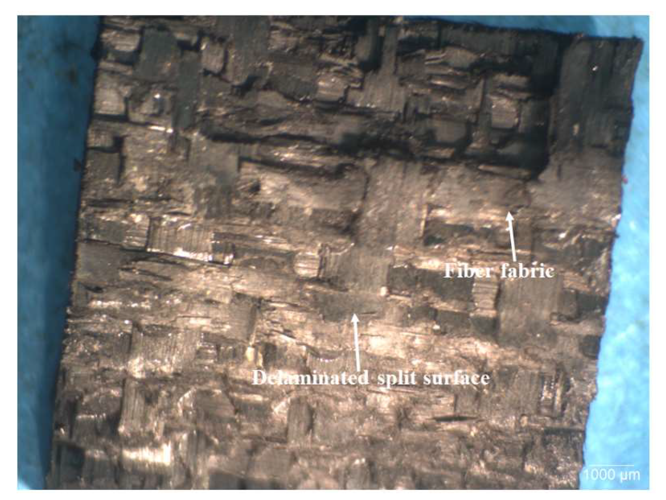 Polymers 15 03038 g024 Polymers 15 03038 g024