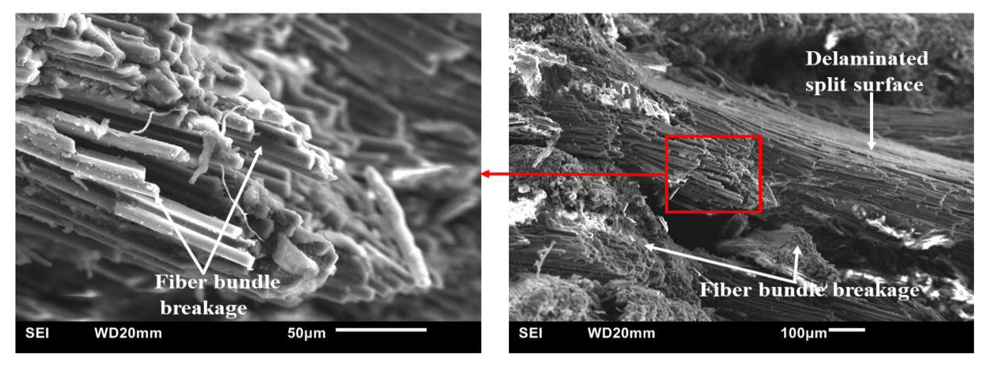 Polymers 15 03038 g026 Polymers 15 03038 g026