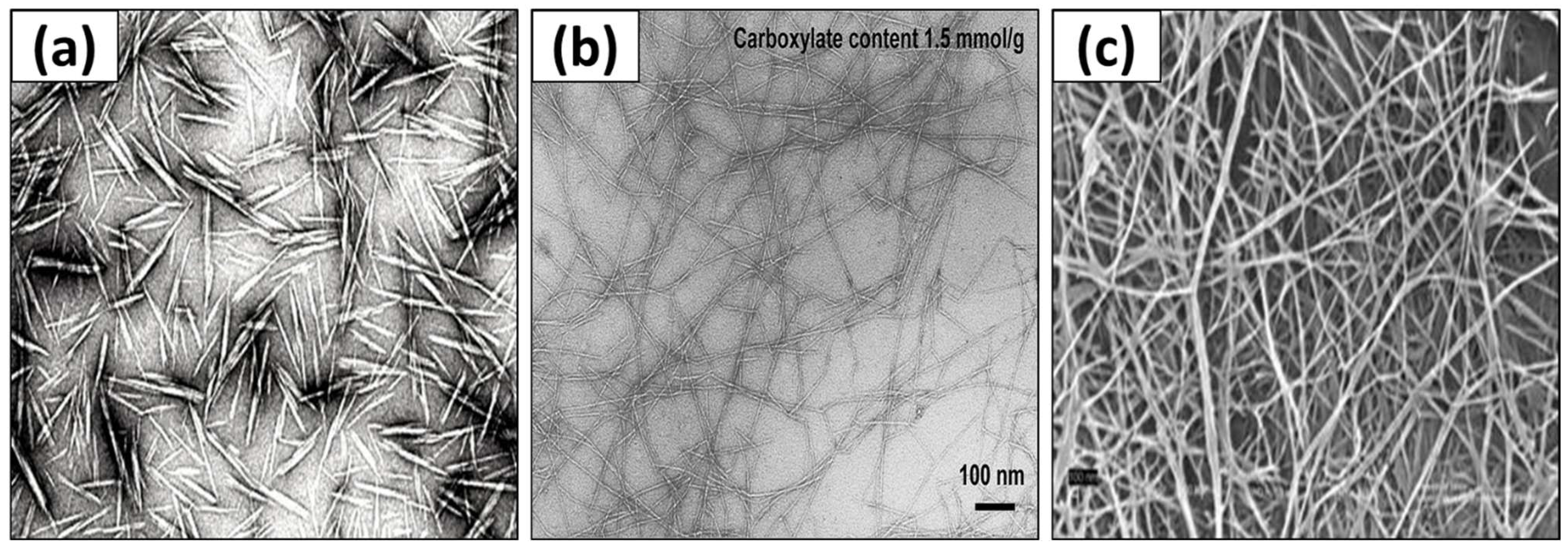 Polymers 15 03044 g002 Polymers 15 03044 g002