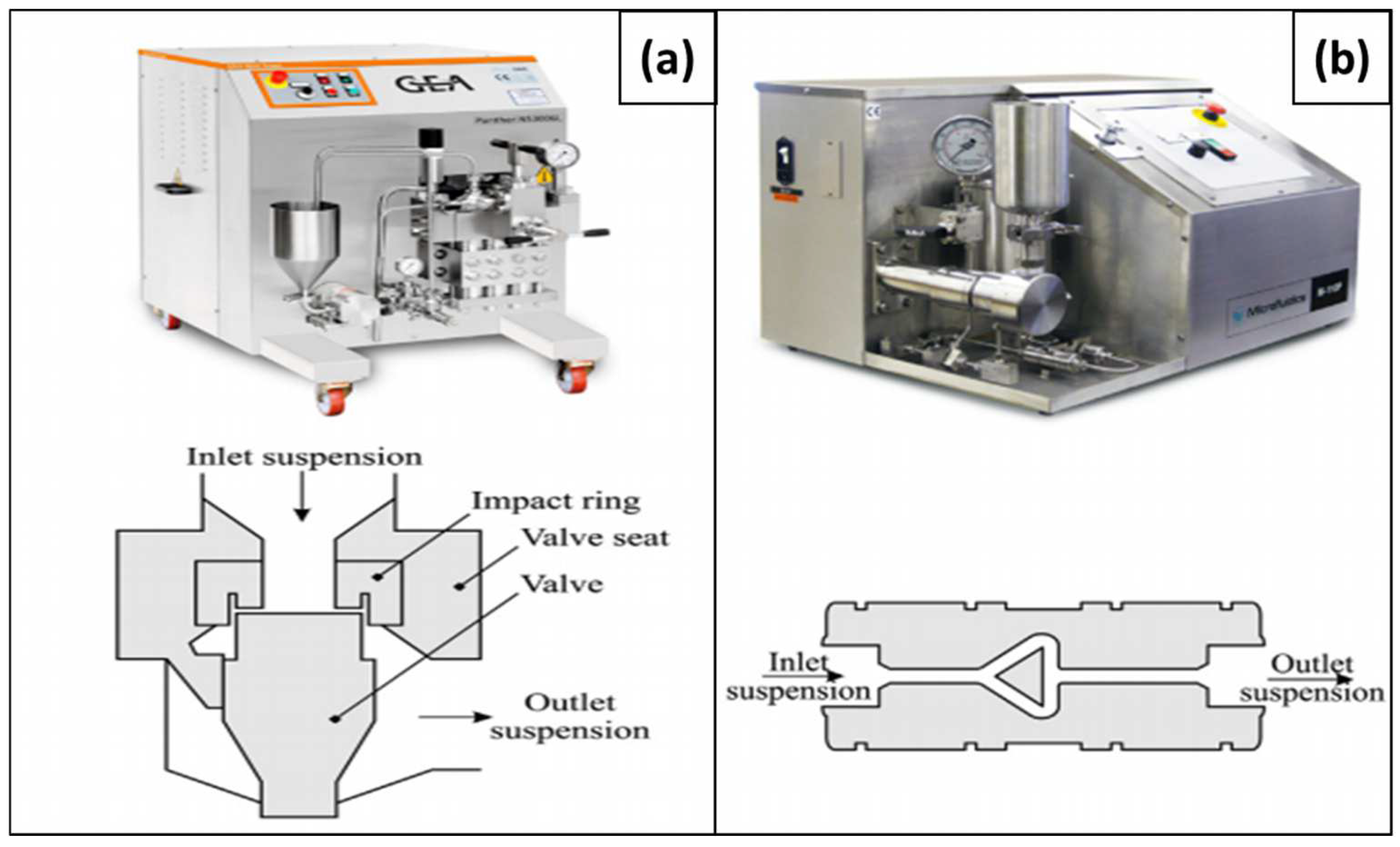 Polymers 15 03044 g004