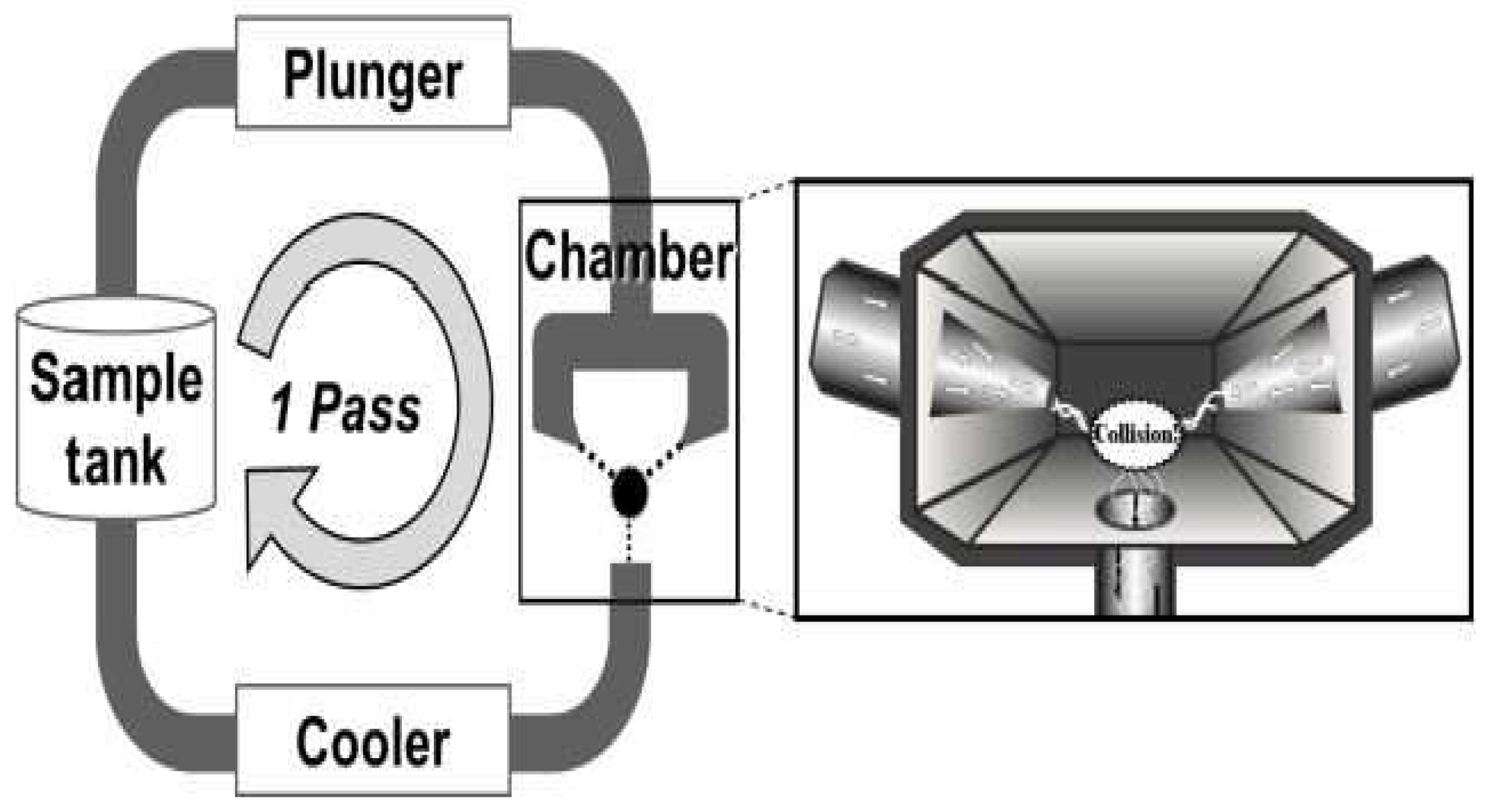 Polymers 15 03044 g011 Polymers 15 03044 g011