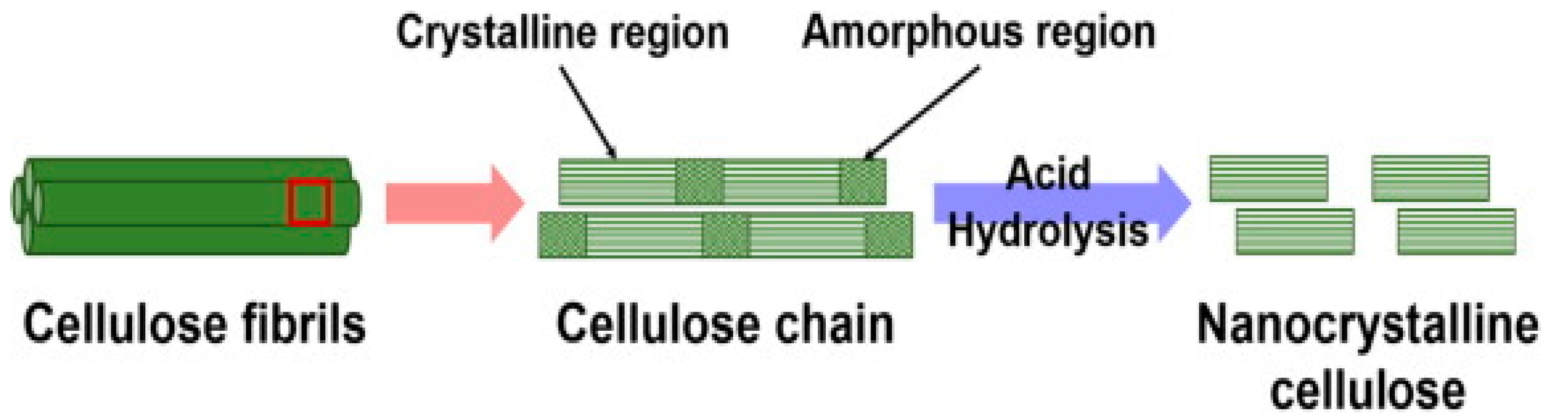 Polymers 15 03044 g012 Polymers 15 03044 g012