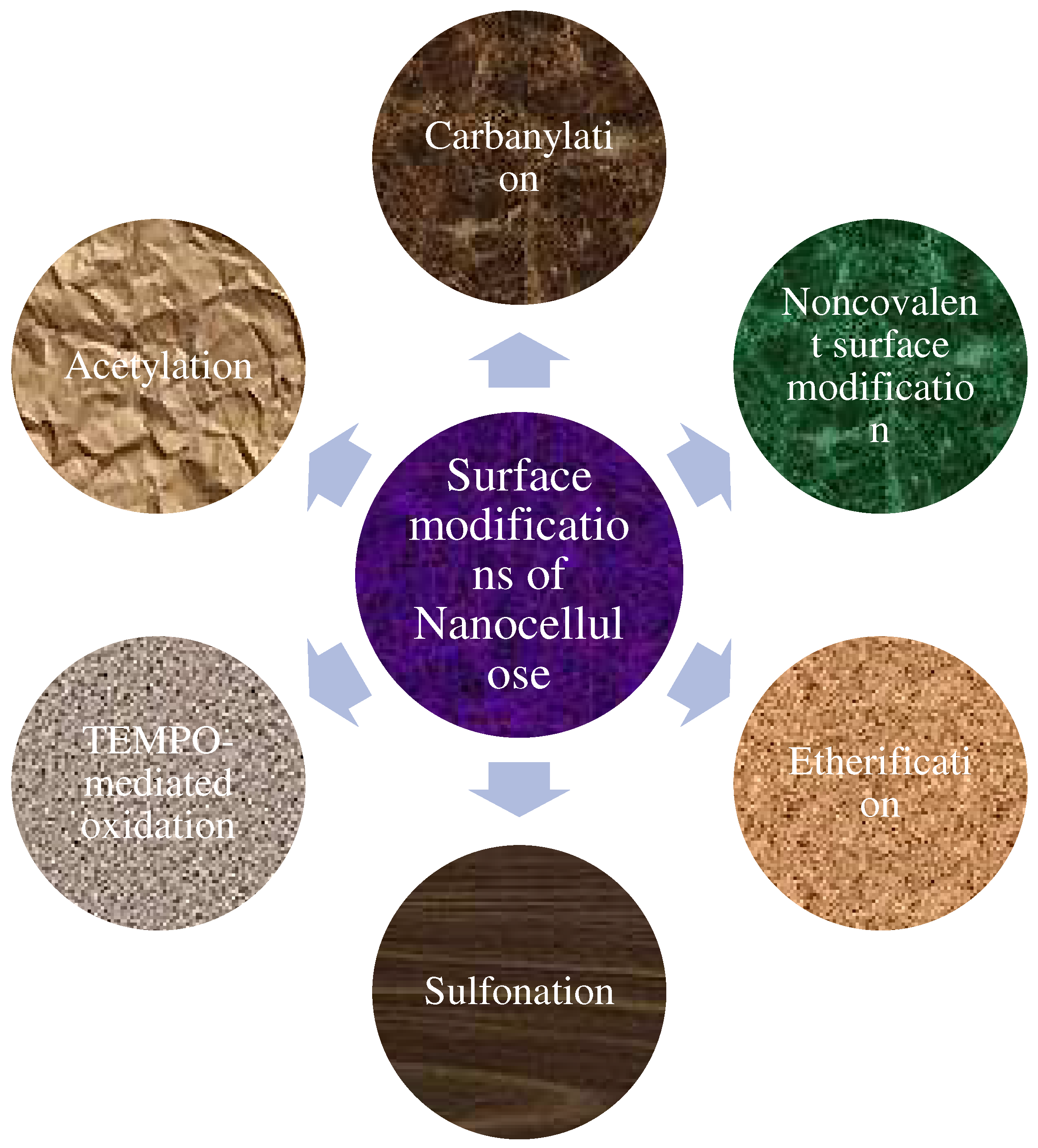 Polymers 15 03044 g016 Polymers 15 03044 g016