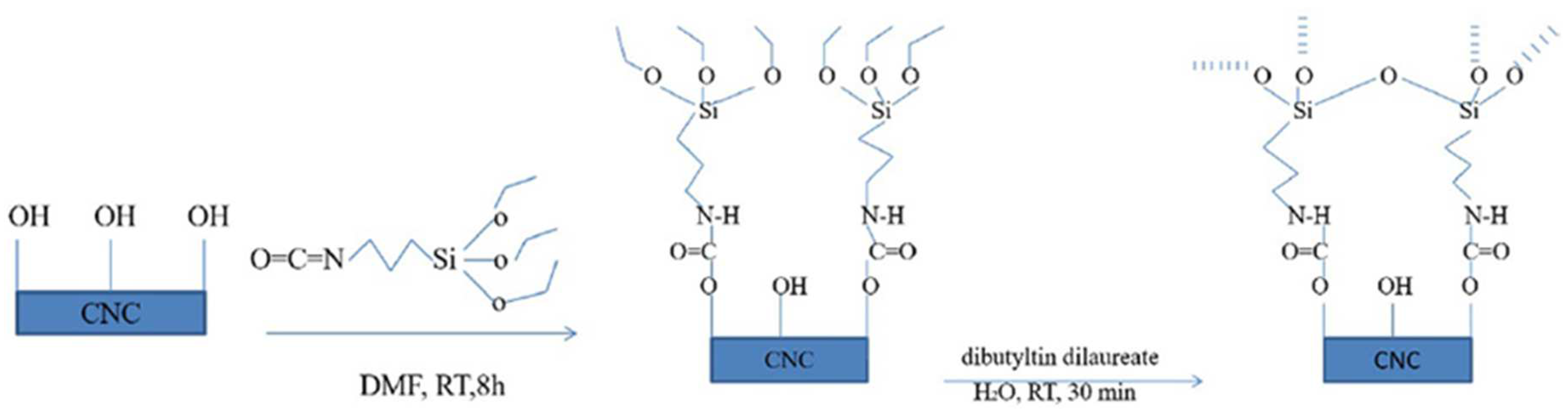Polymers 15 03044 g017 Polymers 15 03044 g017