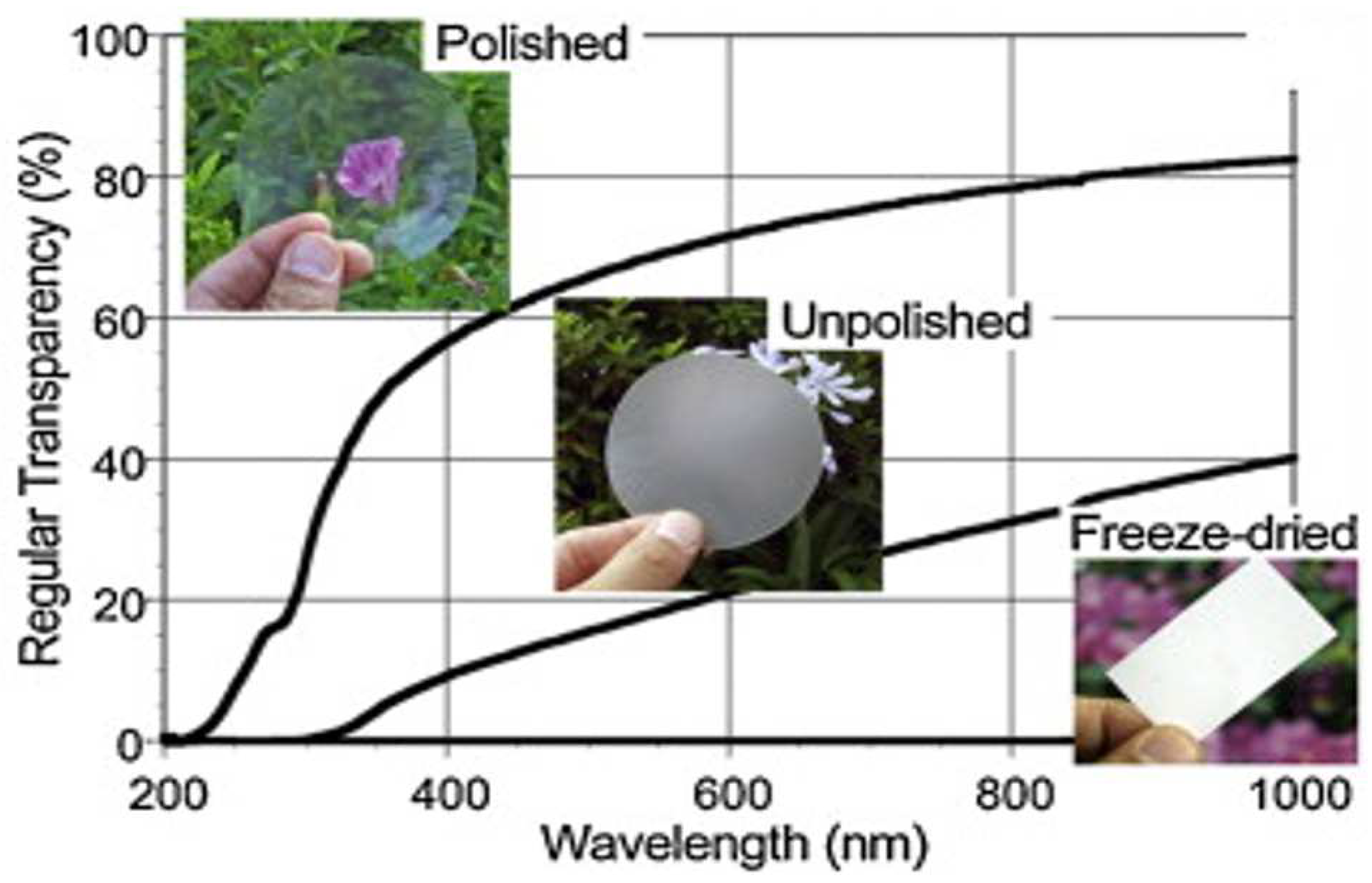 Polymers 15 03044 g020 Polymers 15 03044 g020