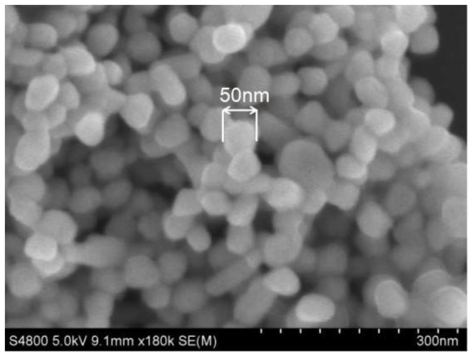 Polymers 15 03045 g001