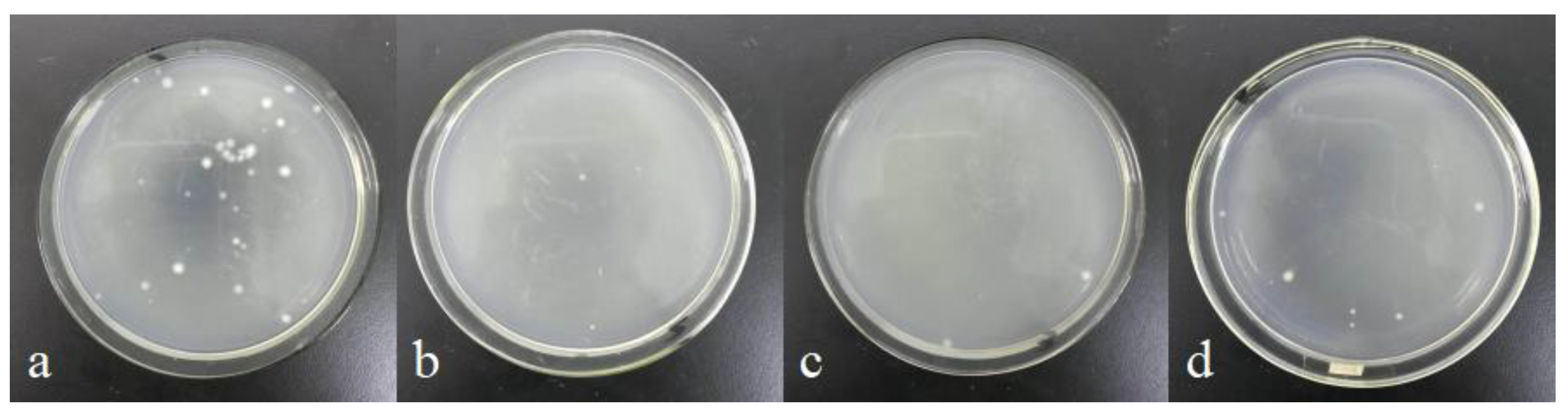 Polymers 15 03045 g002
