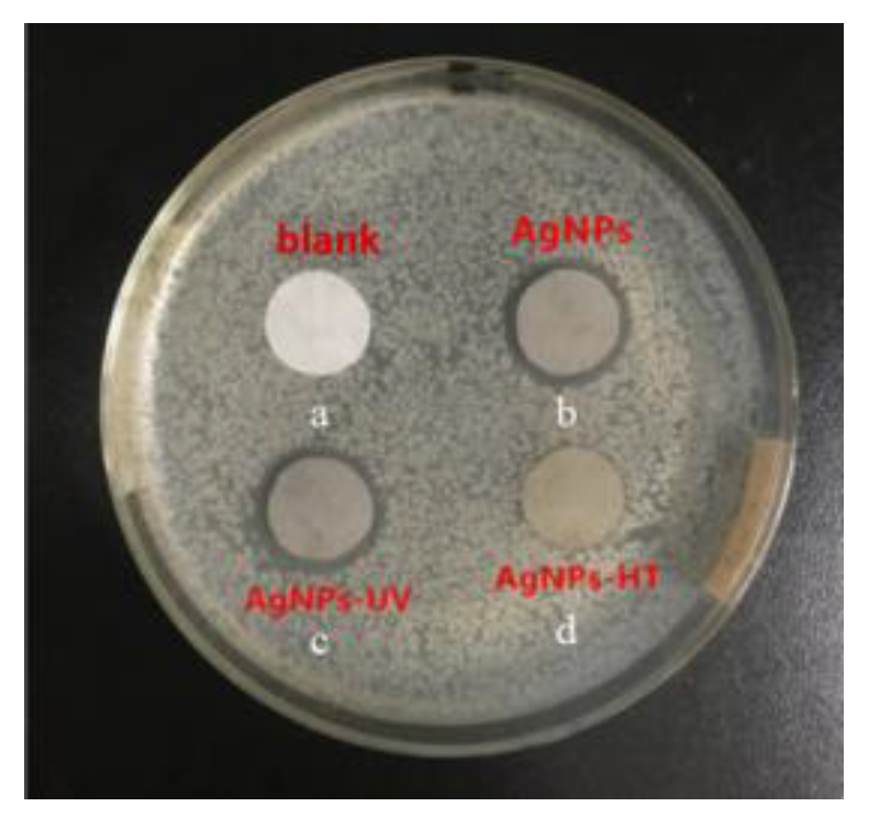 Polymers 15 03045 g003