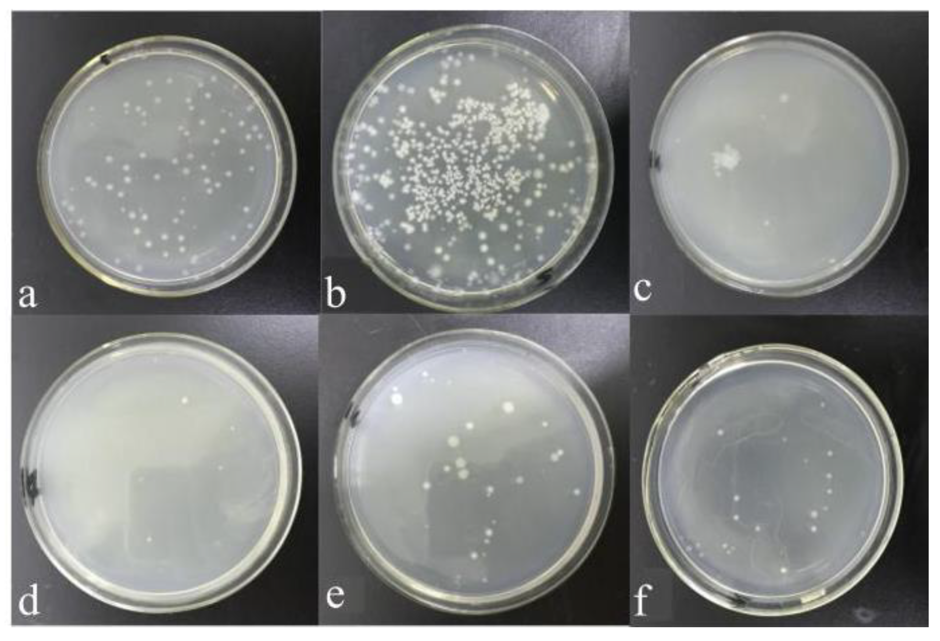 Polymers 15 03045 g005