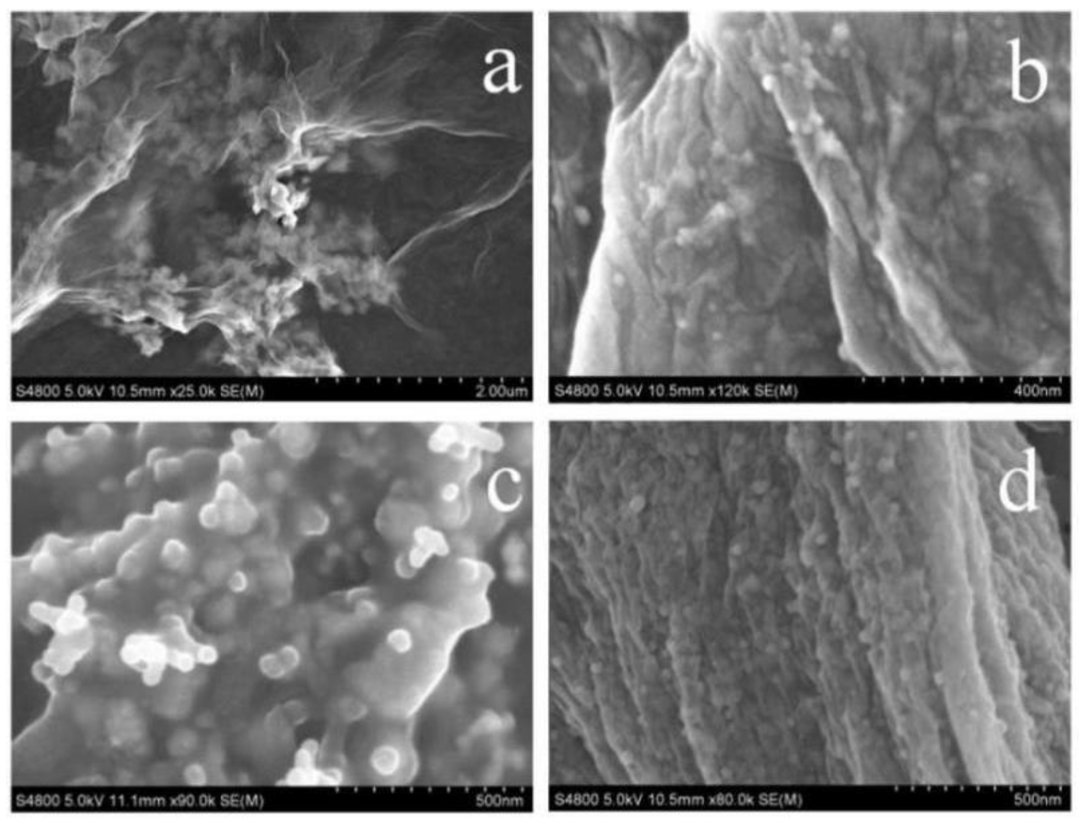 Polymers 15 03045 g006