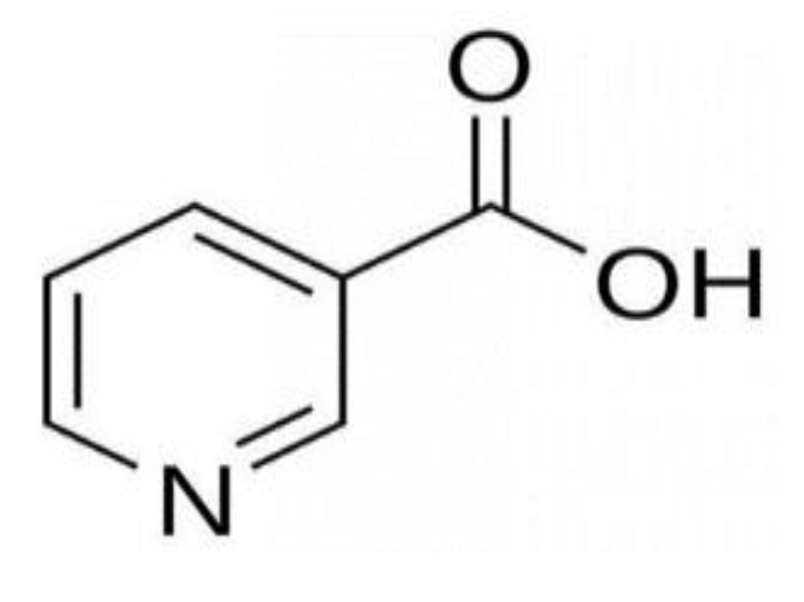 Polymers 15 03046 g001 Polymers 15 03046 g001