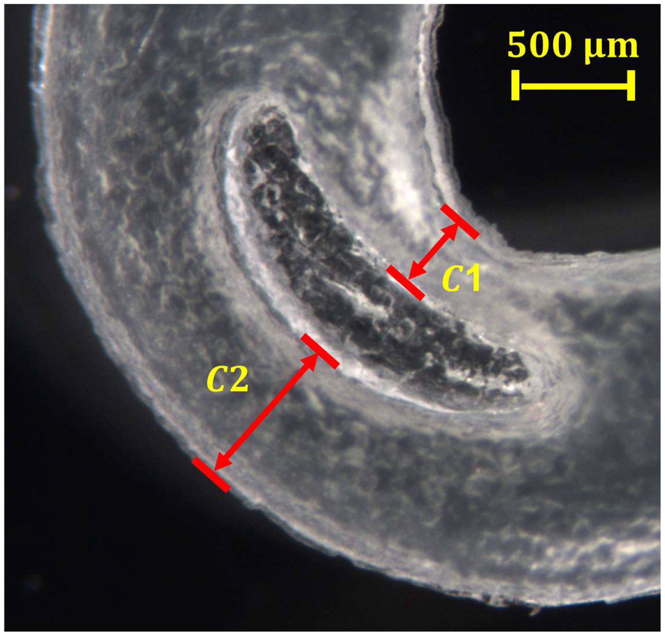 Polymers 15 03049 g008 Polymers 15 03049 g008