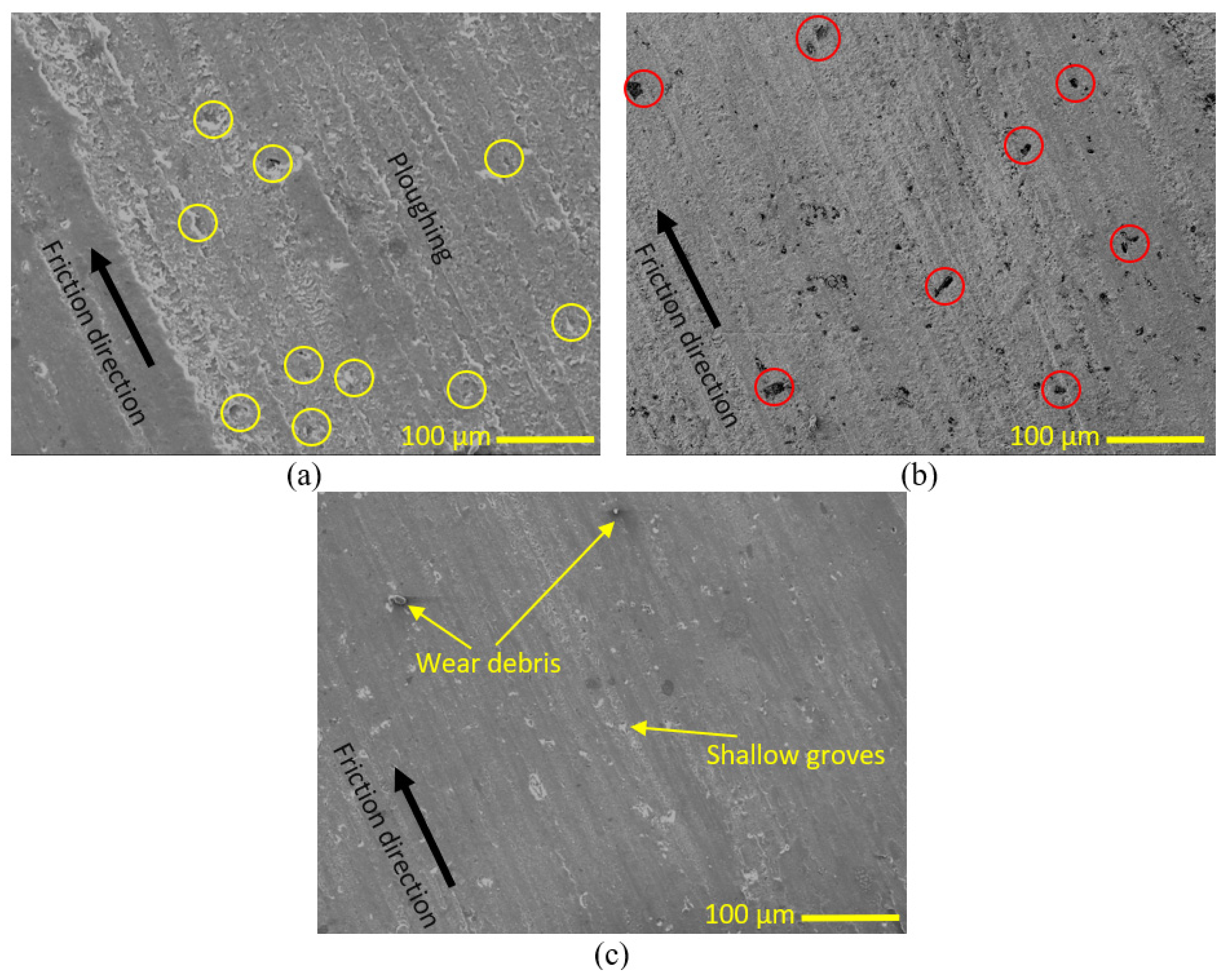 Polymers 15 03053 g007