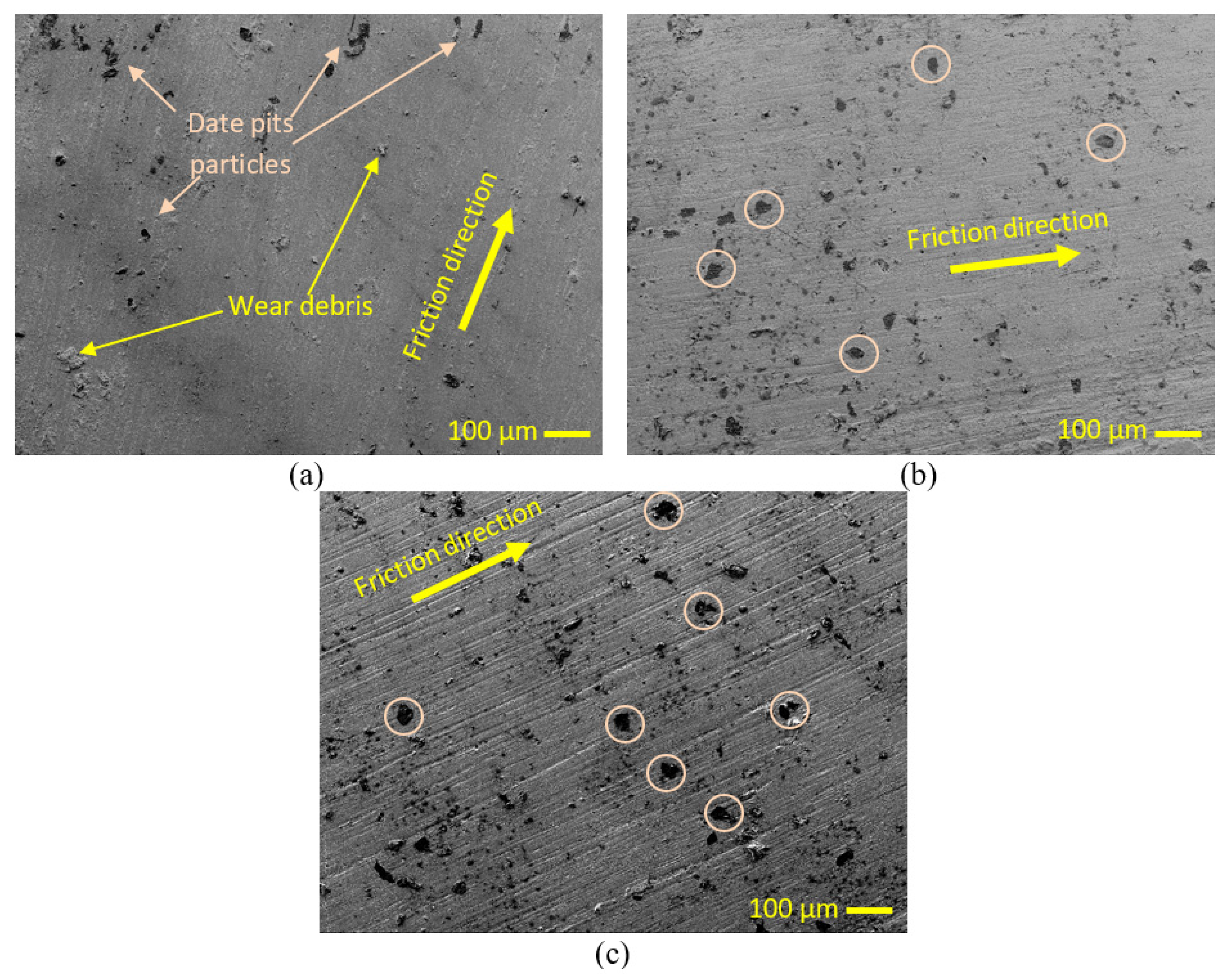 Polymers 15 03053 g008