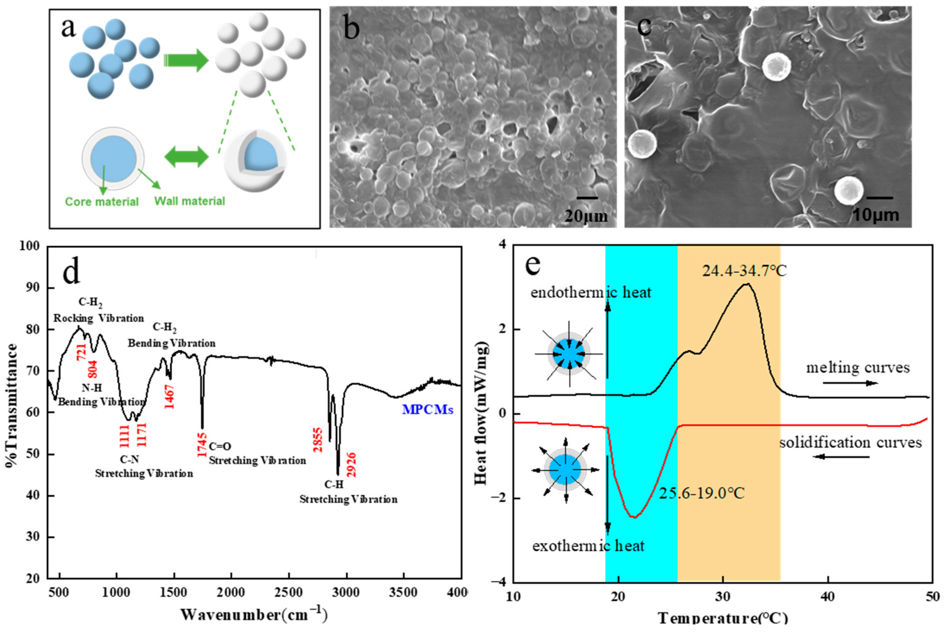 Polymers 15 03055 g001