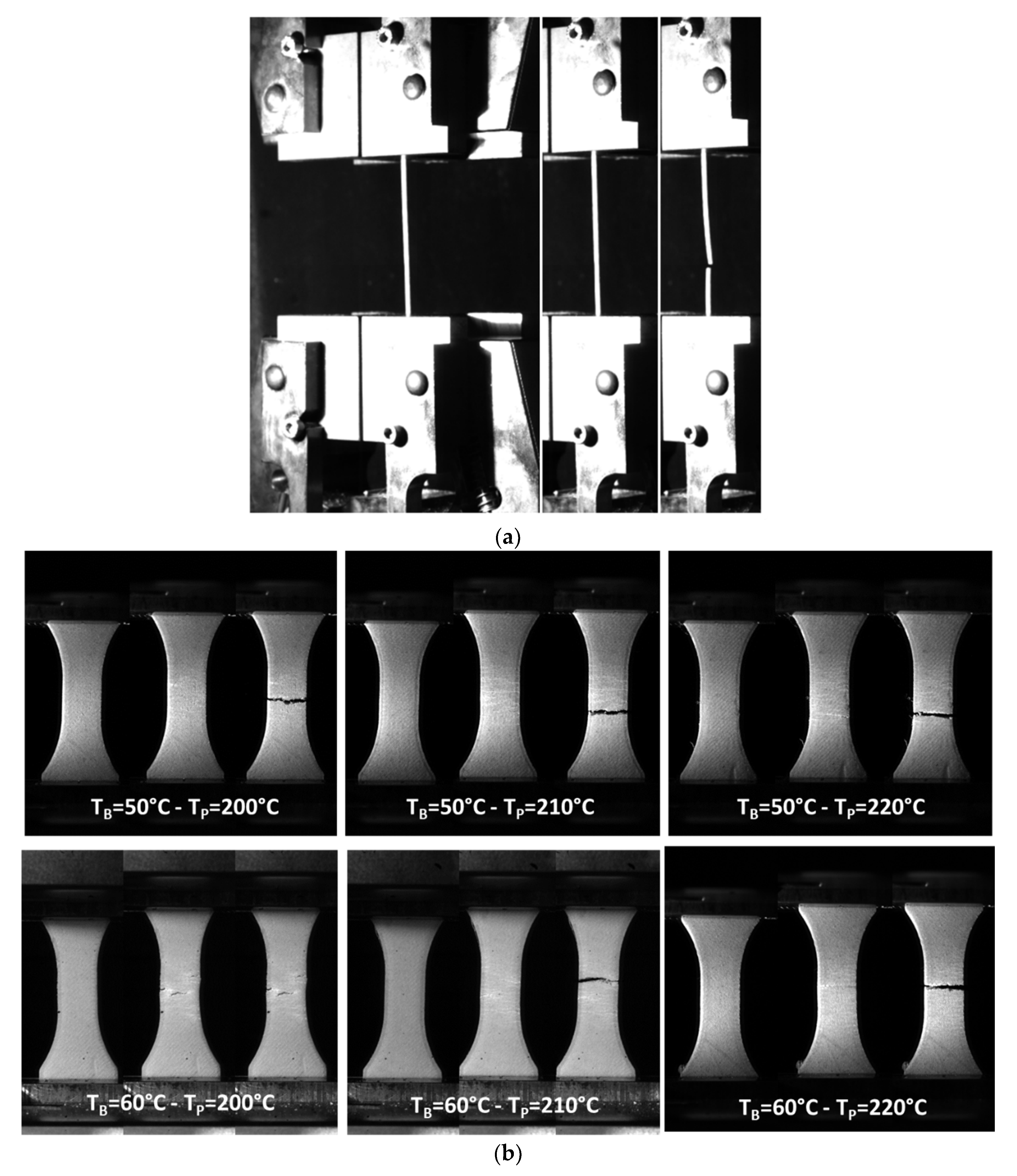 Polymers 15 03056 g006a Polymers 15 03056 g006a