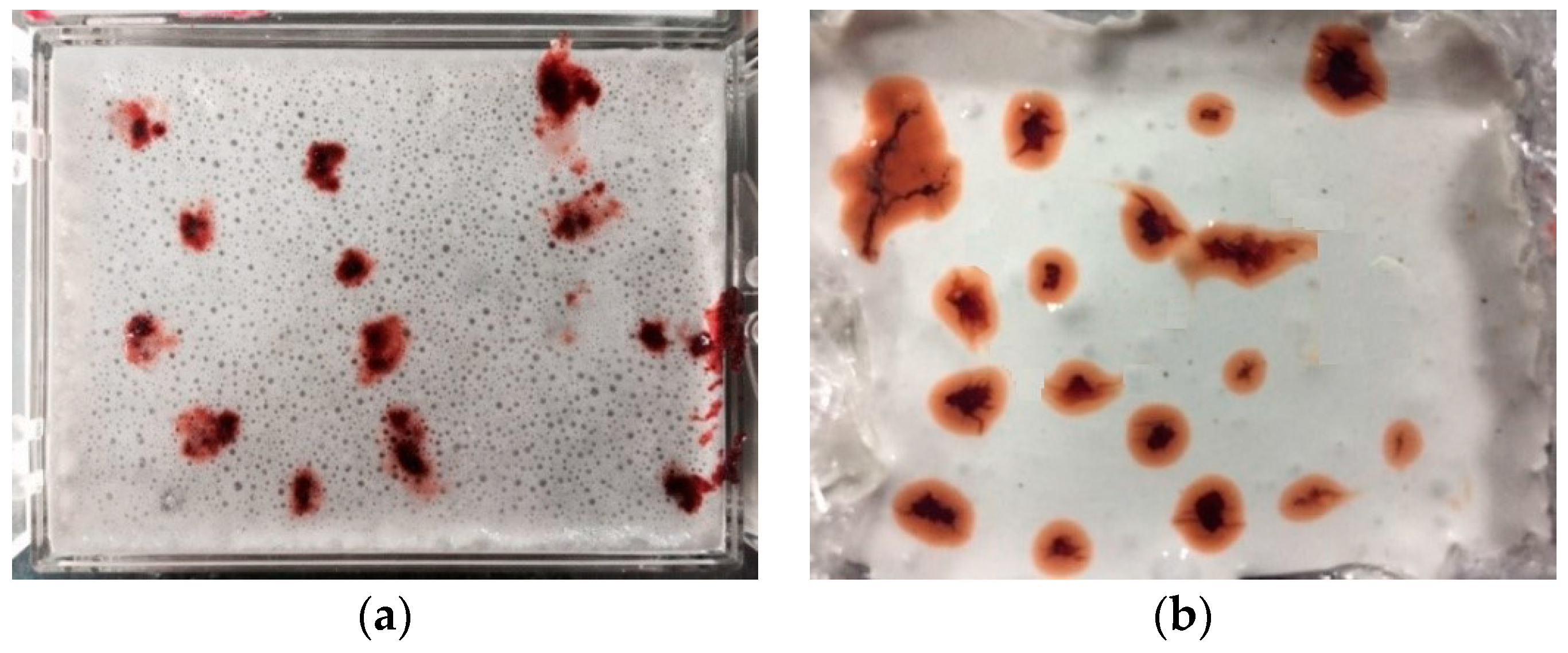 Polymers 15 03062 g003 Polymers 15 03062 g003