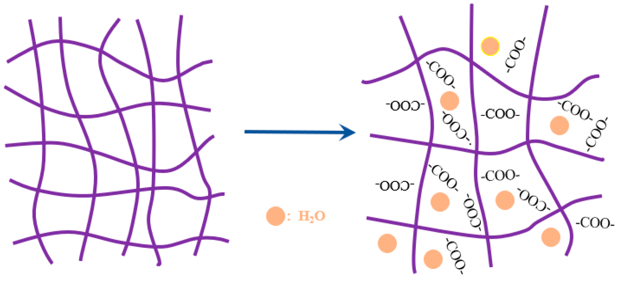 Polymers 15 03062 g008 Polymers 15 03062 g008