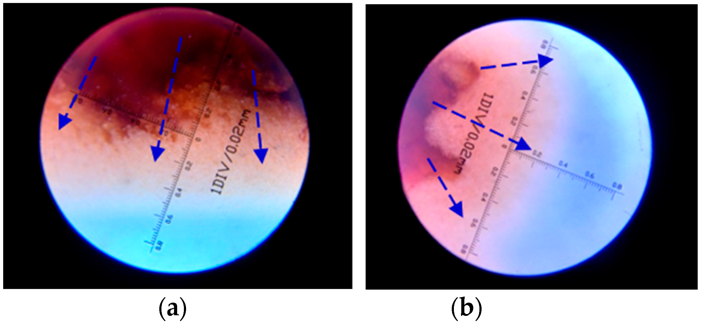 Polymers 15 03062 g012 Polymers 15 03062 g012