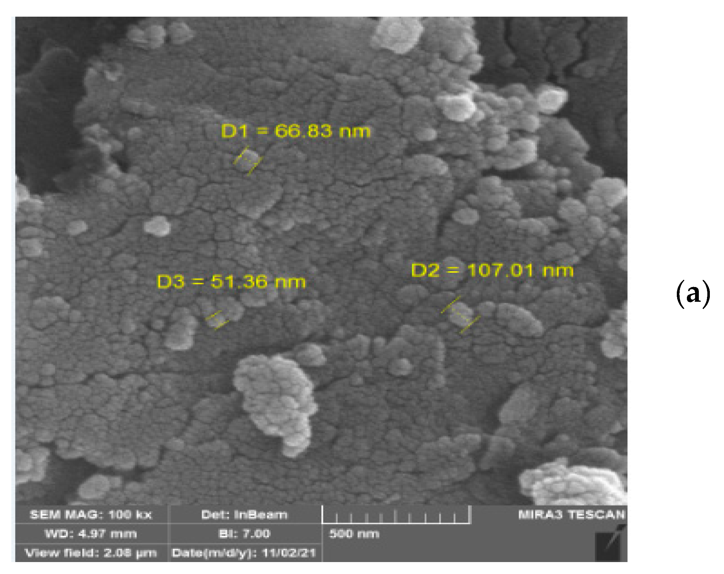 Polymers 15 03064 g005a