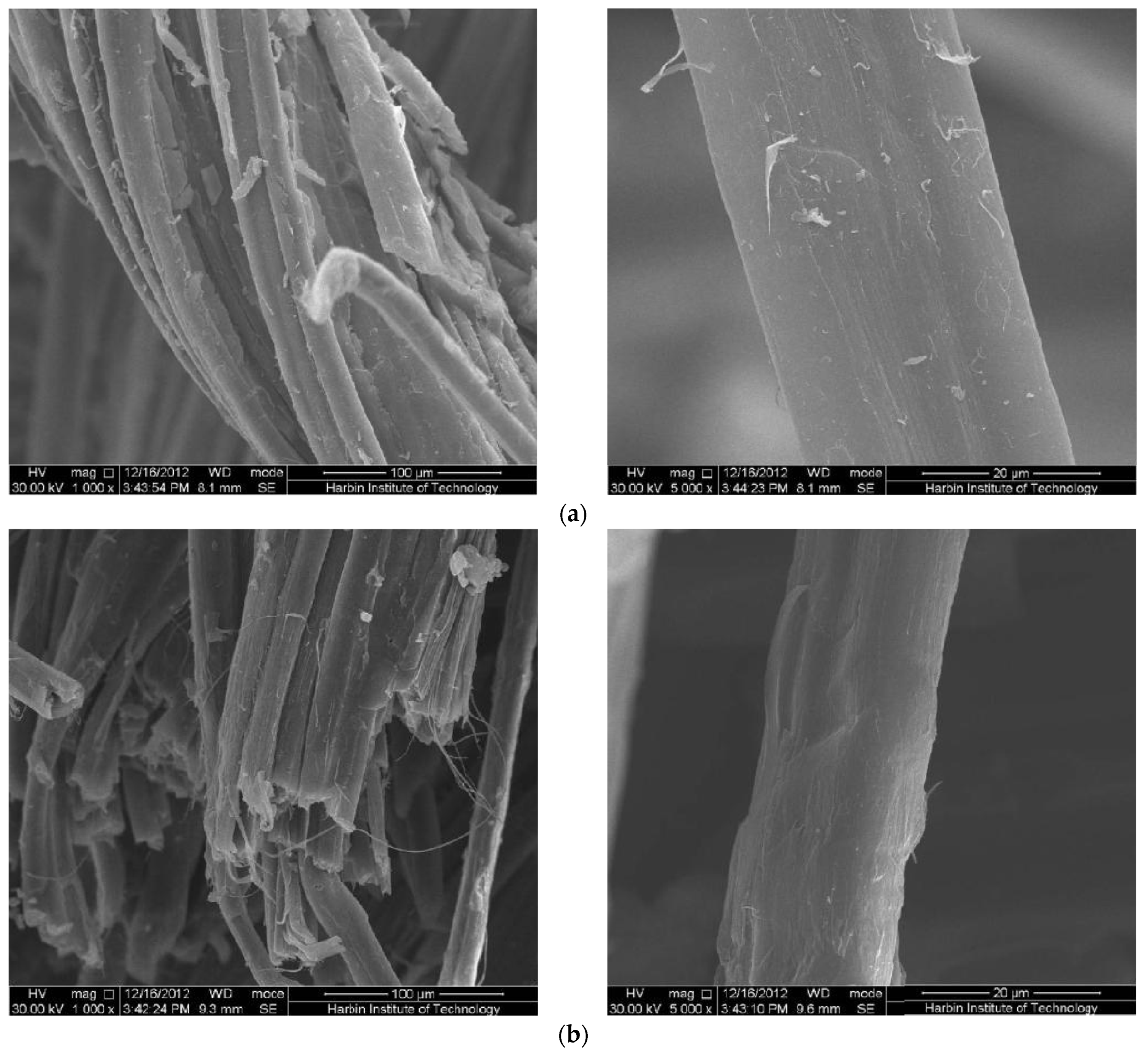 Polymers 15 03066 g004 Polymers 15 03066 g004