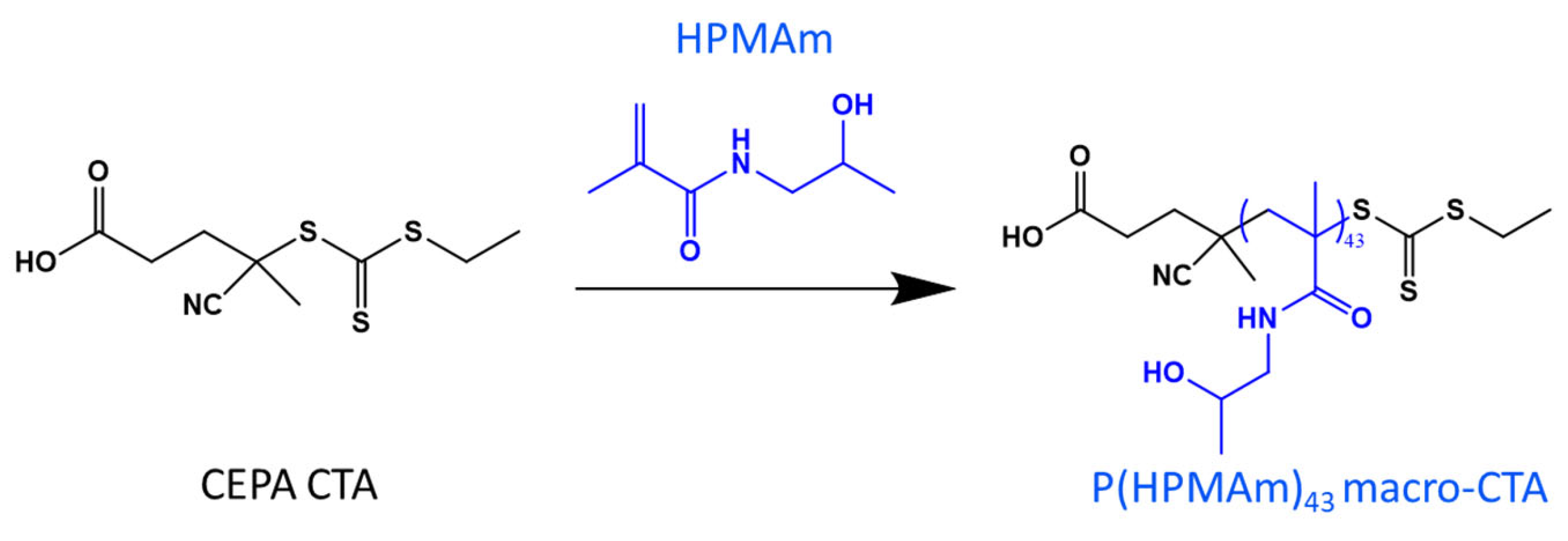 Polymers 15 03070 g001 Polymers 15 03070 g001