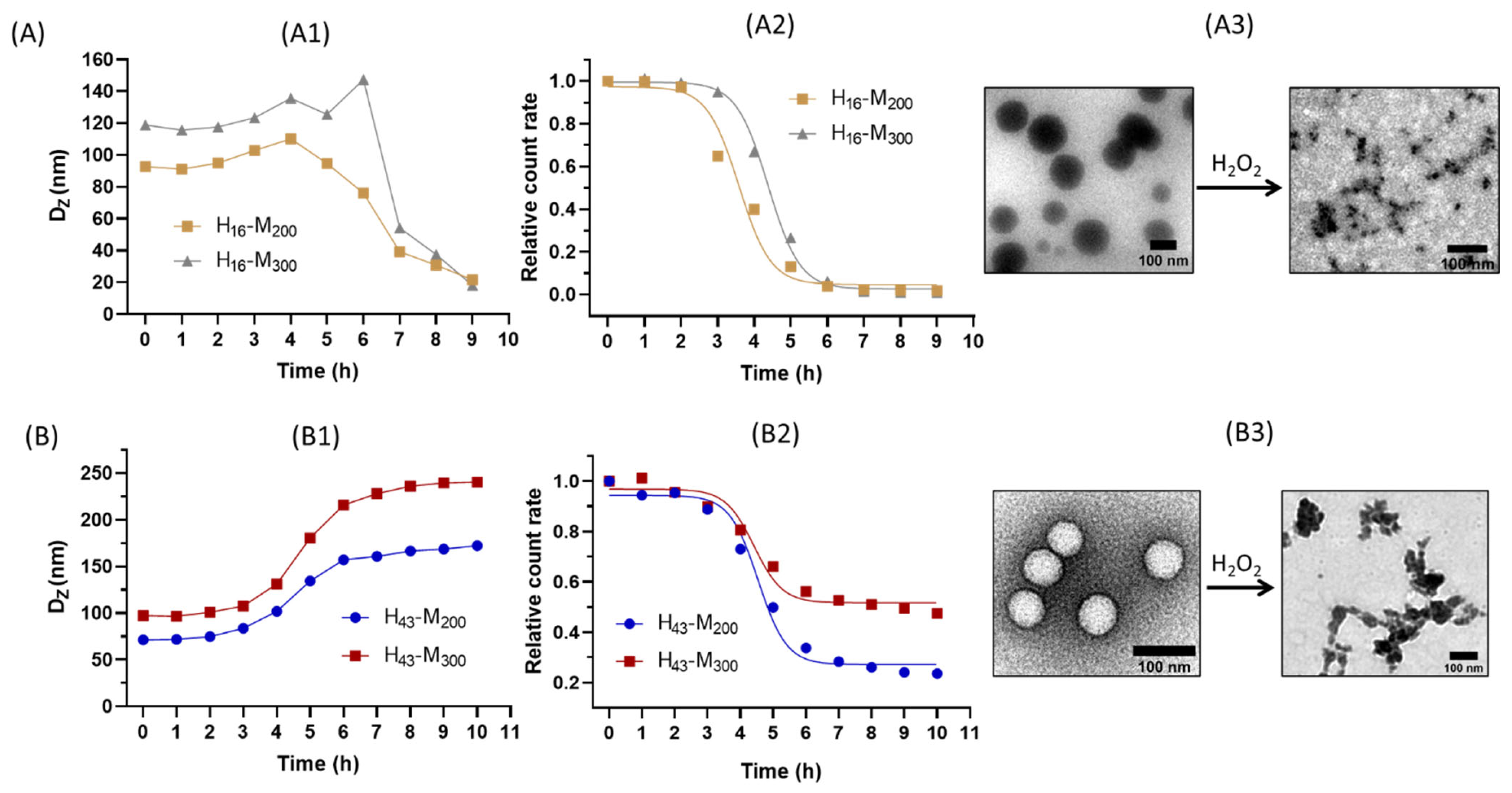 Polymers 15 03070 g003 Polymers 15 03070 g003