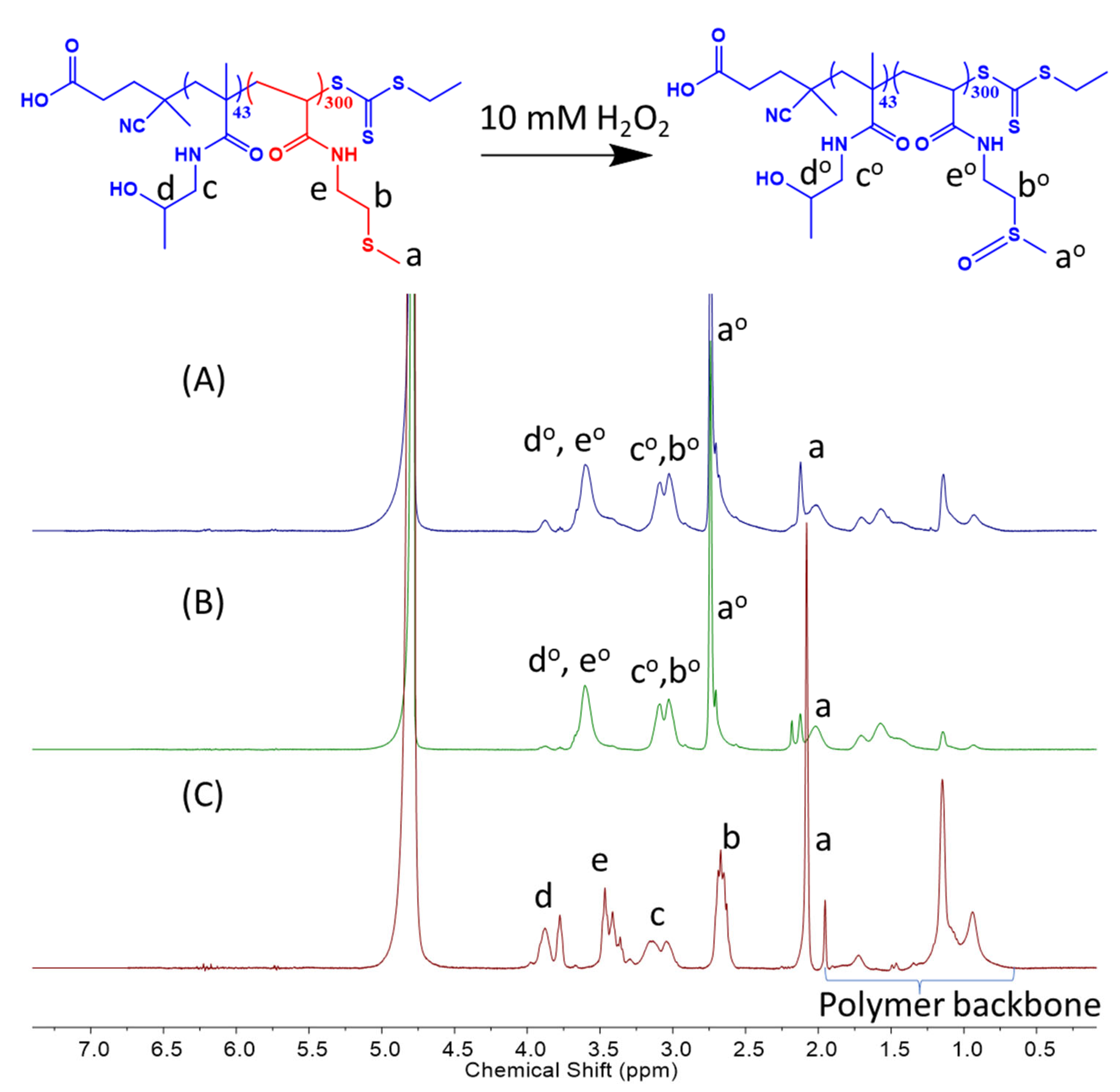 Polymers 15 03070 g004 Polymers 15 03070 g004