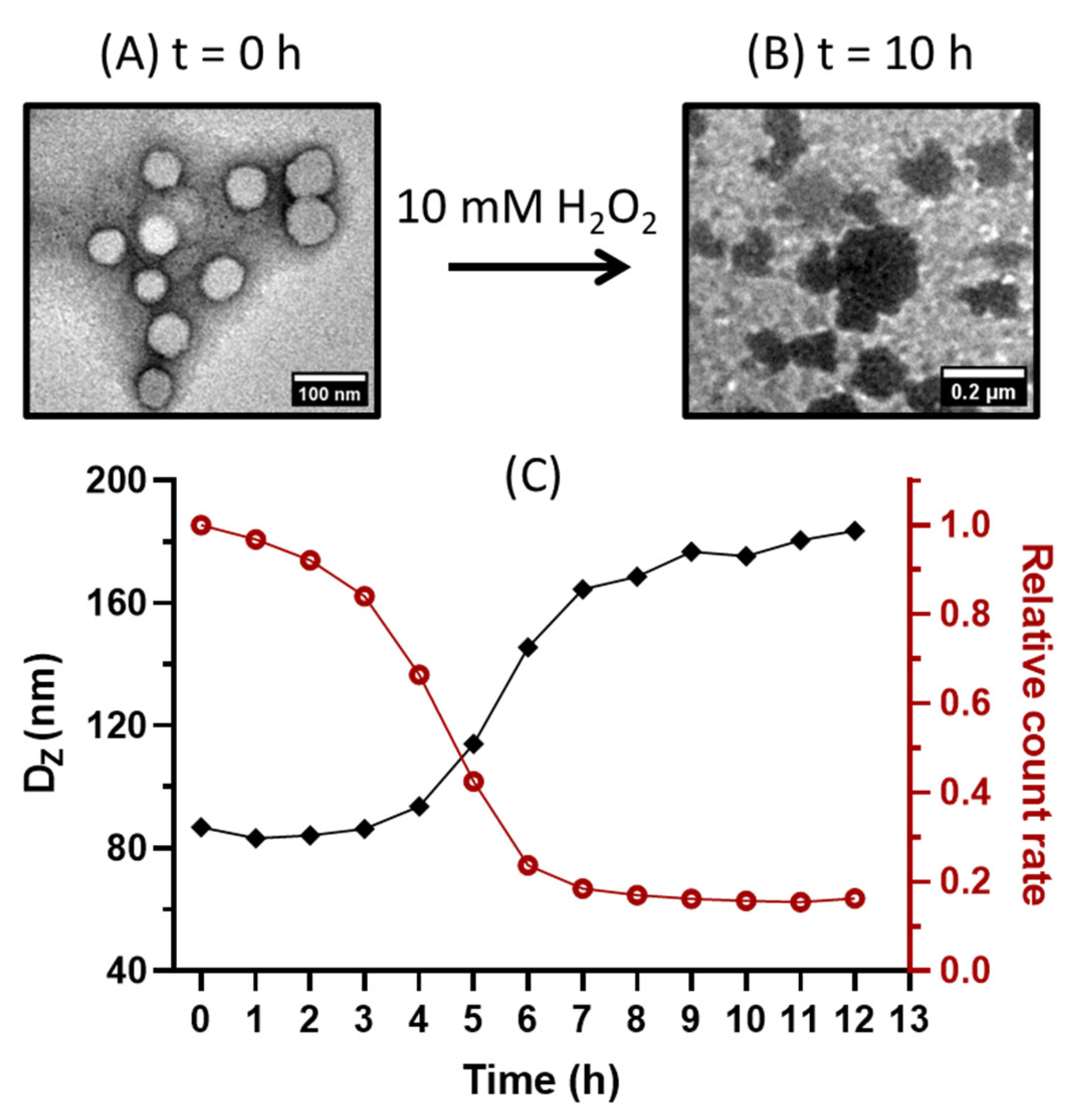 Polymers 15 03070 g006 Polymers 15 03070 g006