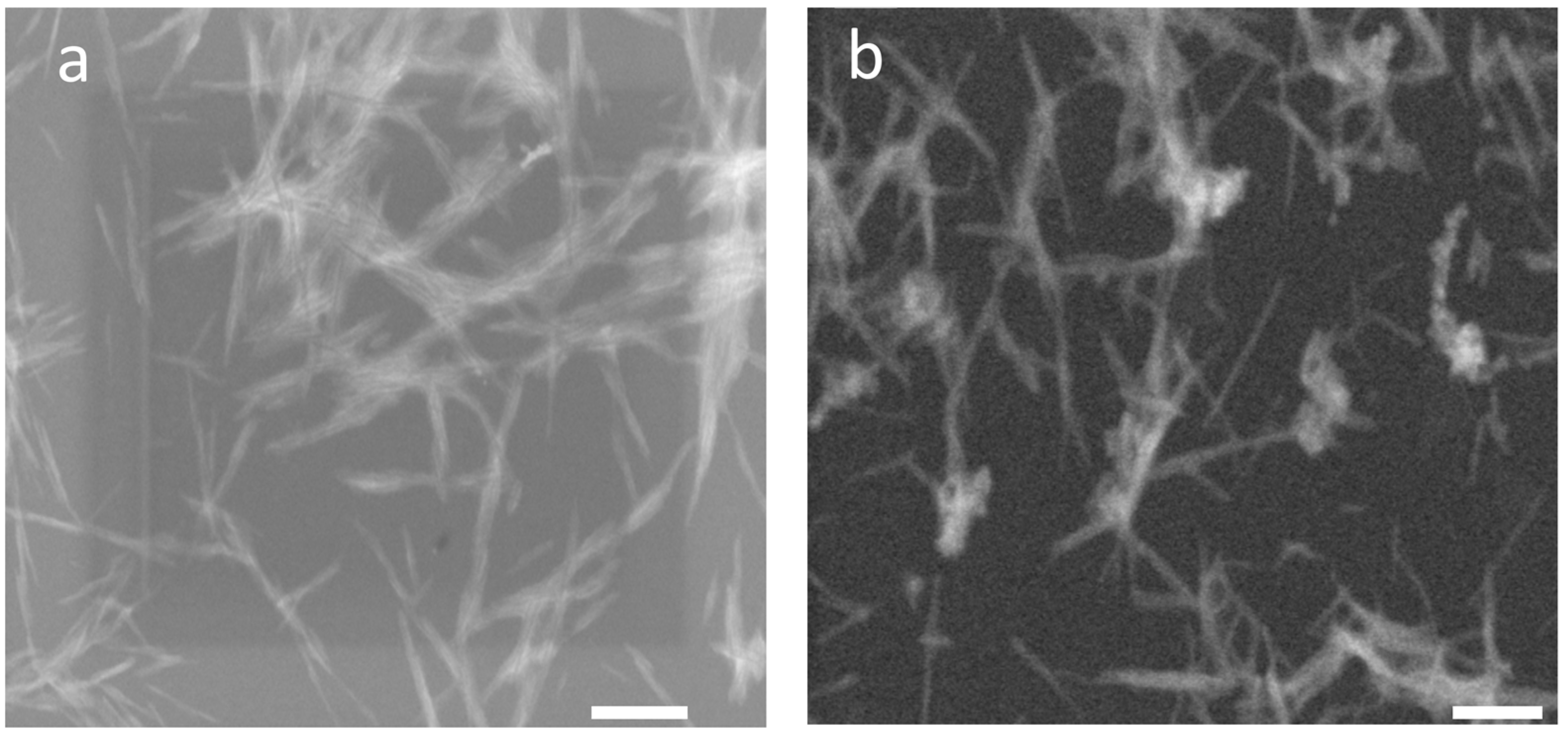 Polymers 15 03071 g001