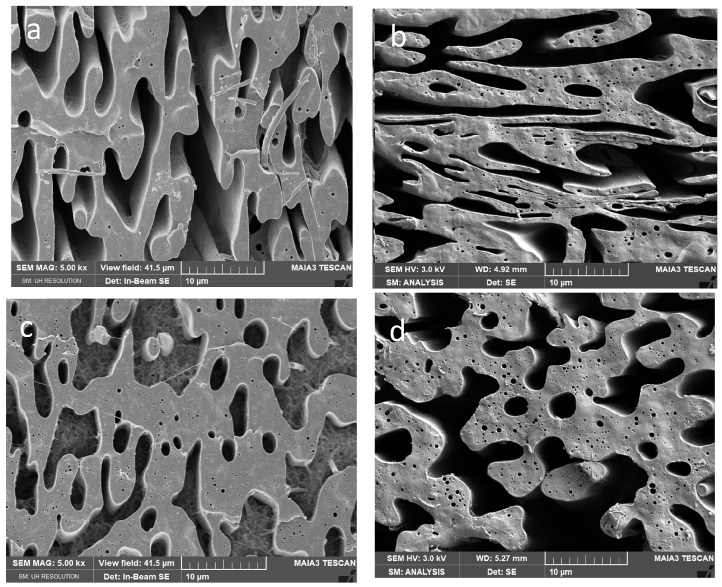 Polymers 15 03071 g004