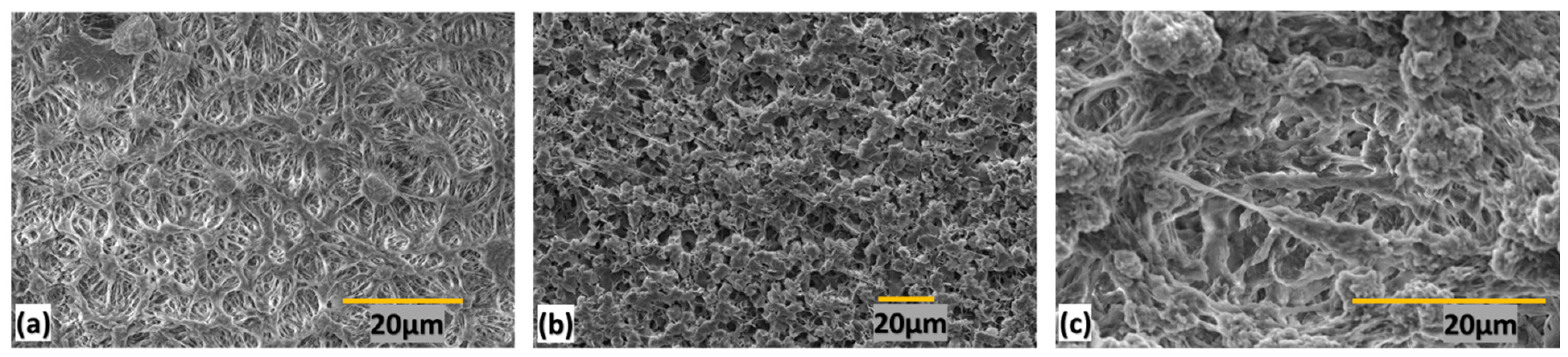 Polymers 15 03072 g003