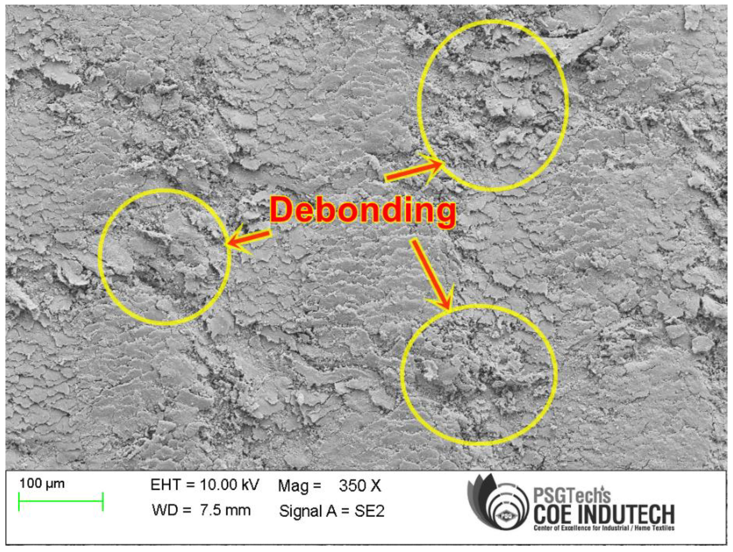 Polymers 15 03075 g007 Polymers 15 03075 g007