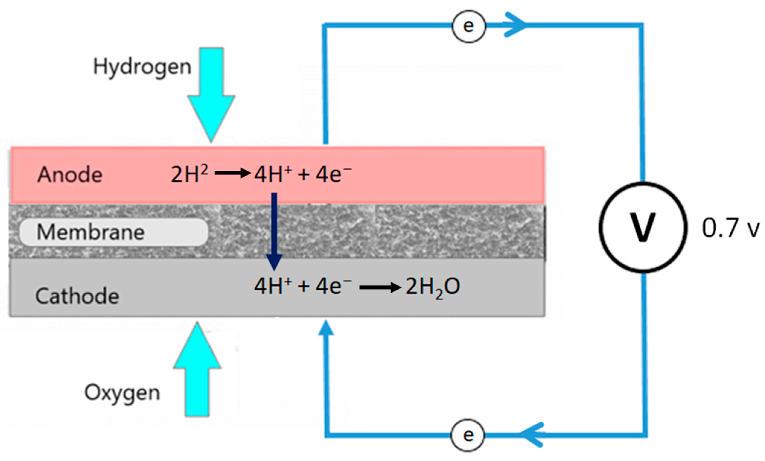 Polymers 15 03076 g001 Polymers 15 03076 g001