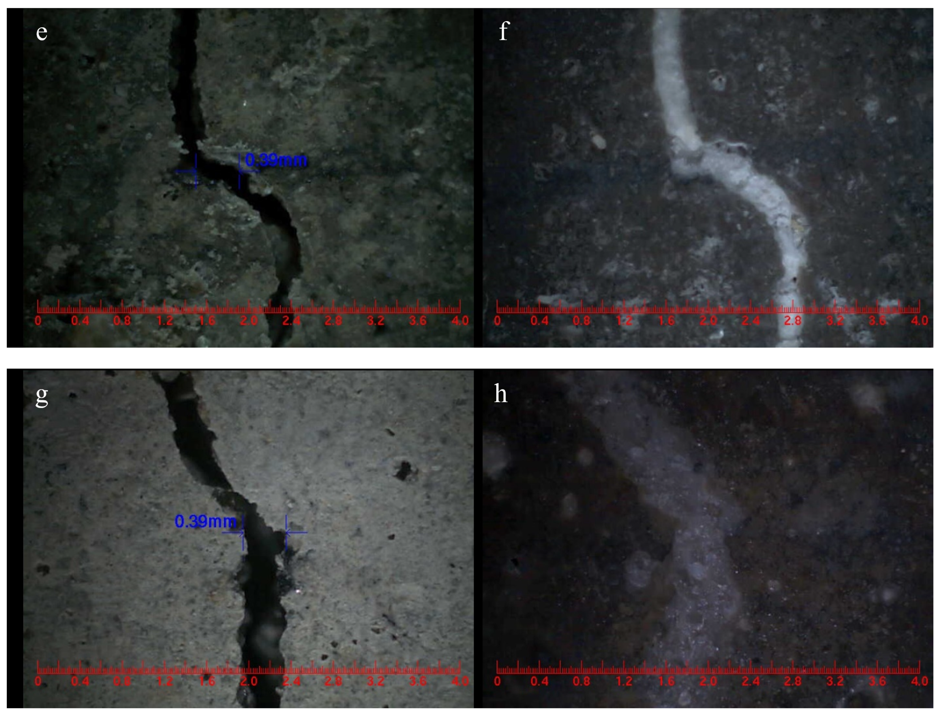 Polymers 15 03081 g015b