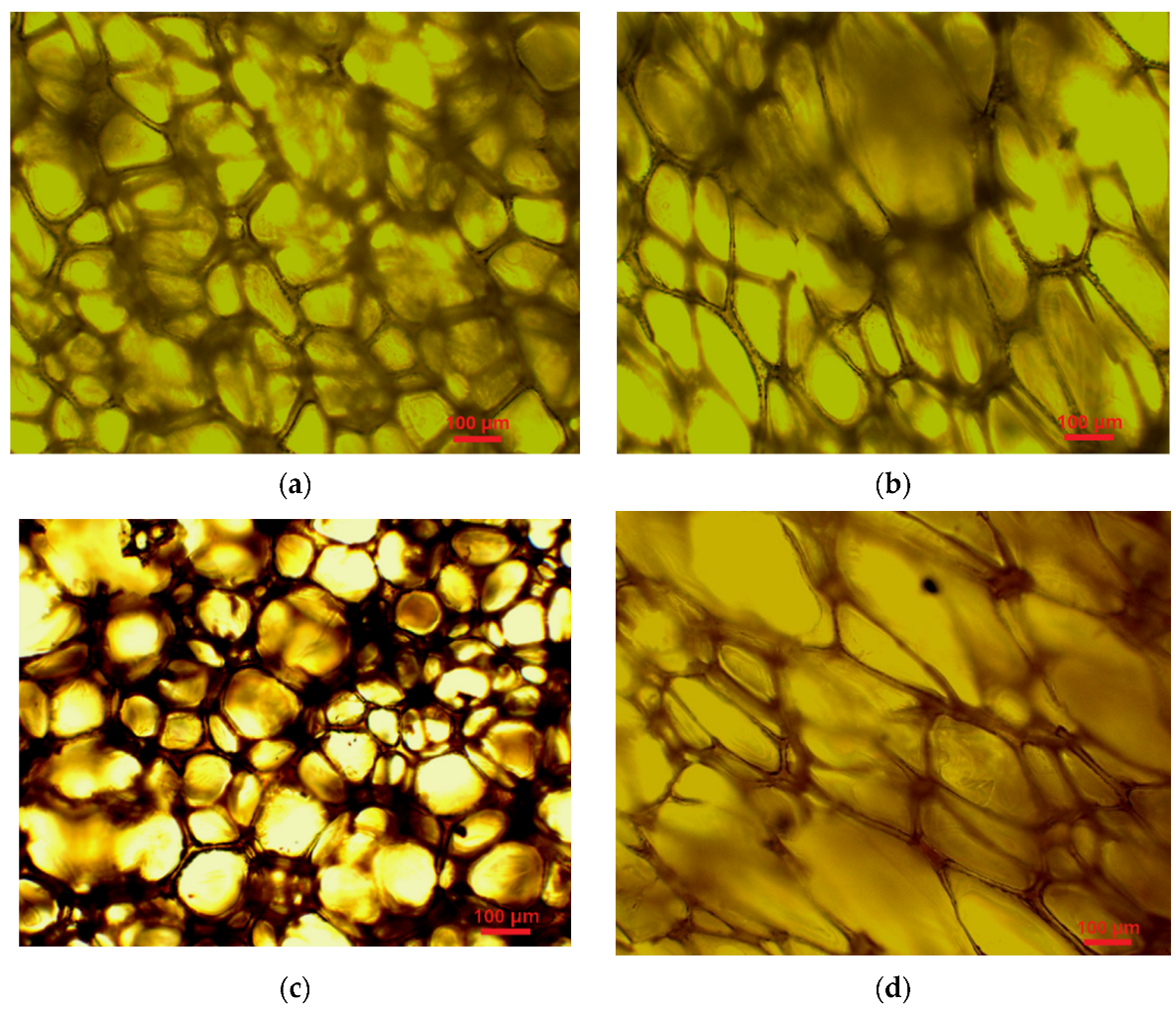 Polymers 15 03084 g012a