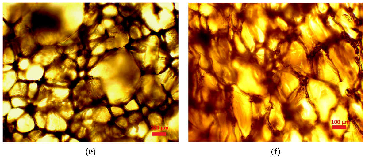 Polymers 15 03084 g012b