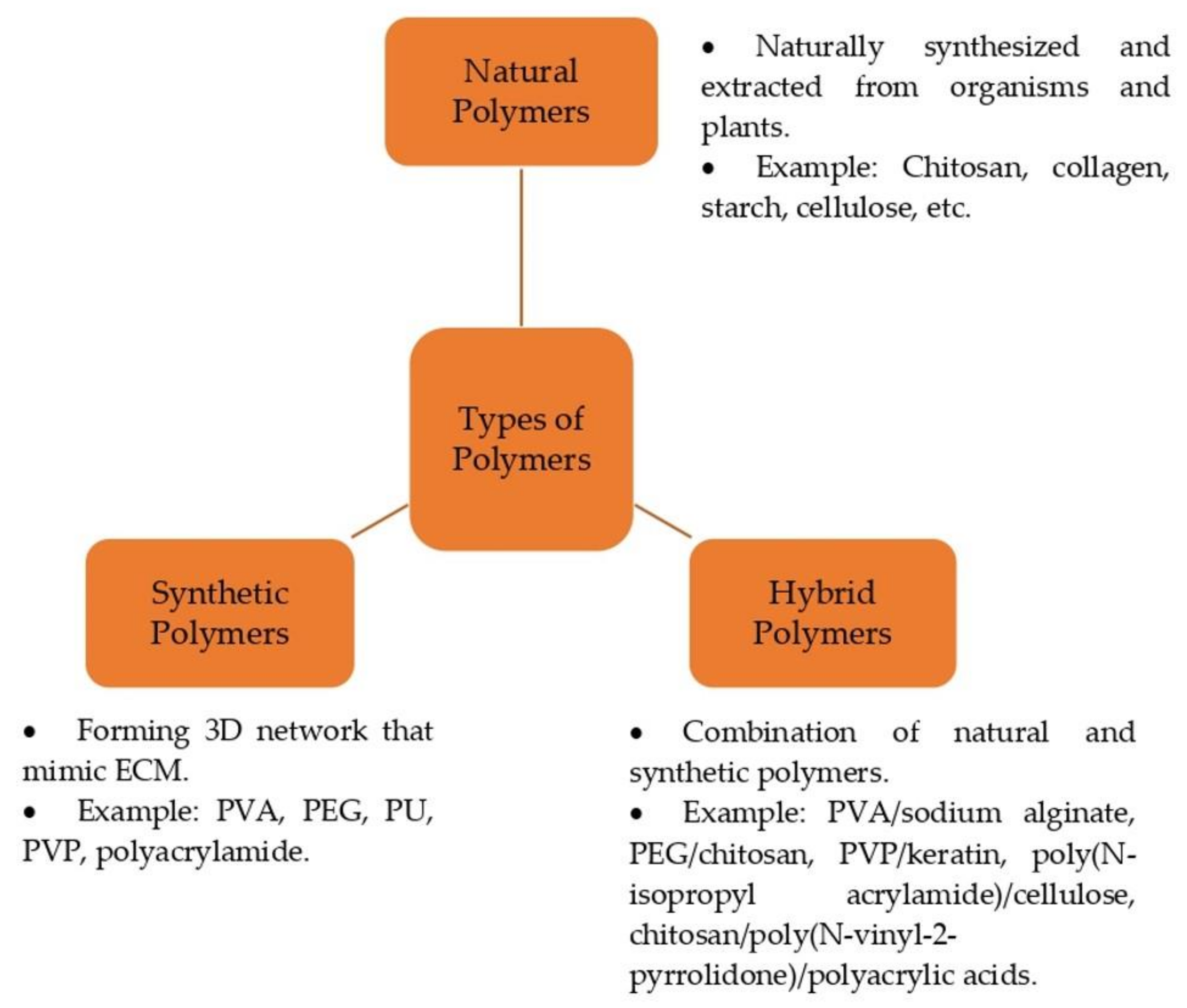 Polymers 15 03085 g003 Polymers 15 03085 g003