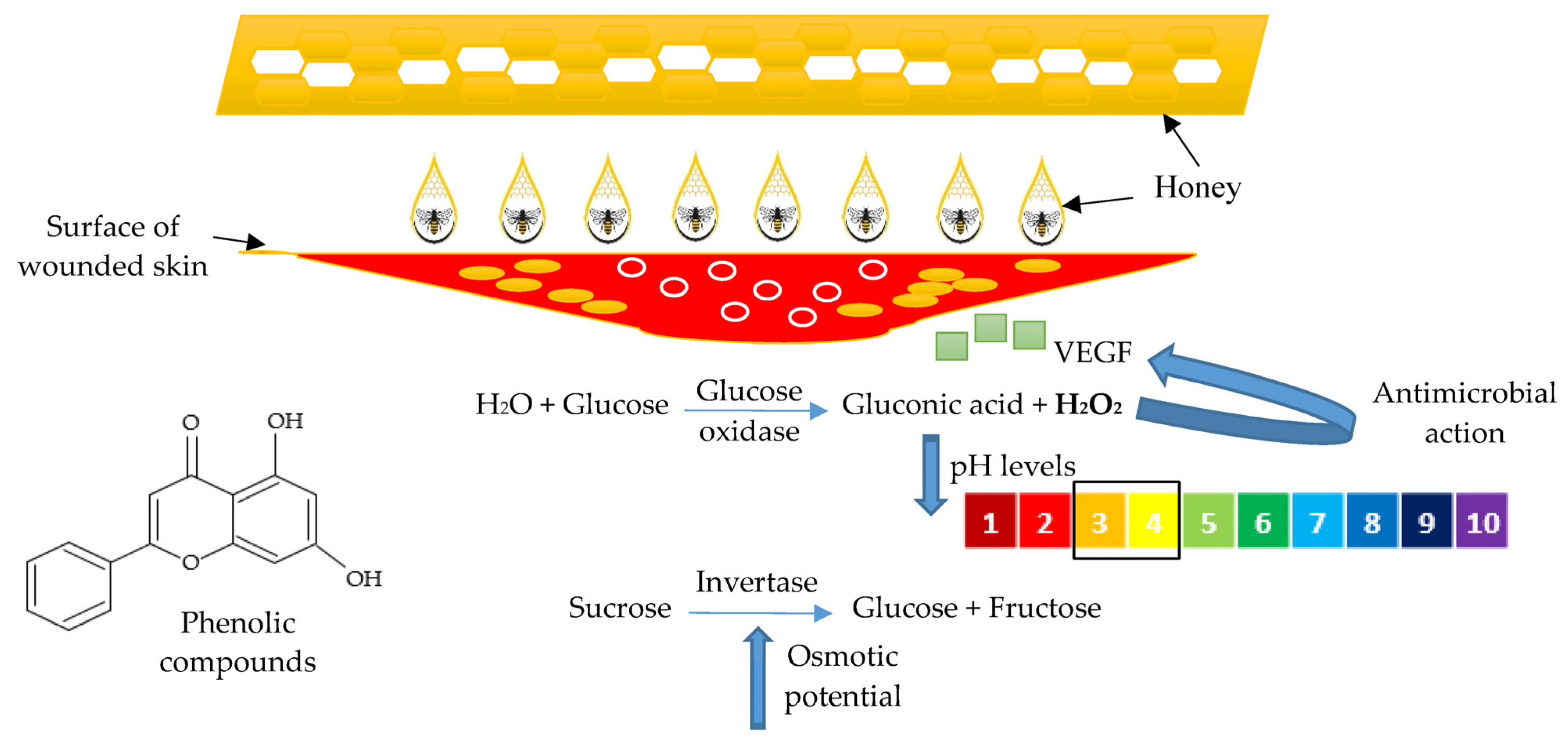Polymers 15 03085 g004 Polymers 15 03085 g004