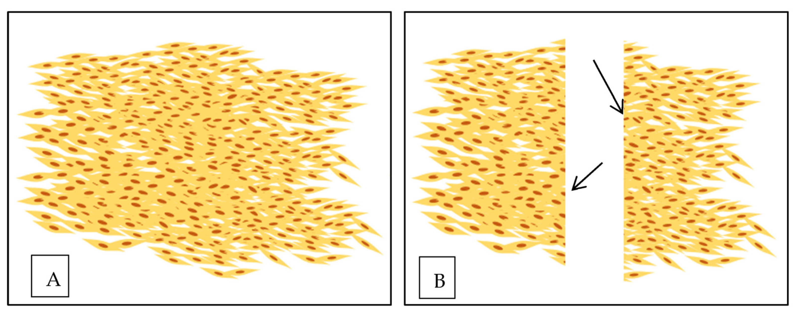 Polymers 15 03085 g006 Polymers 15 03085 g006