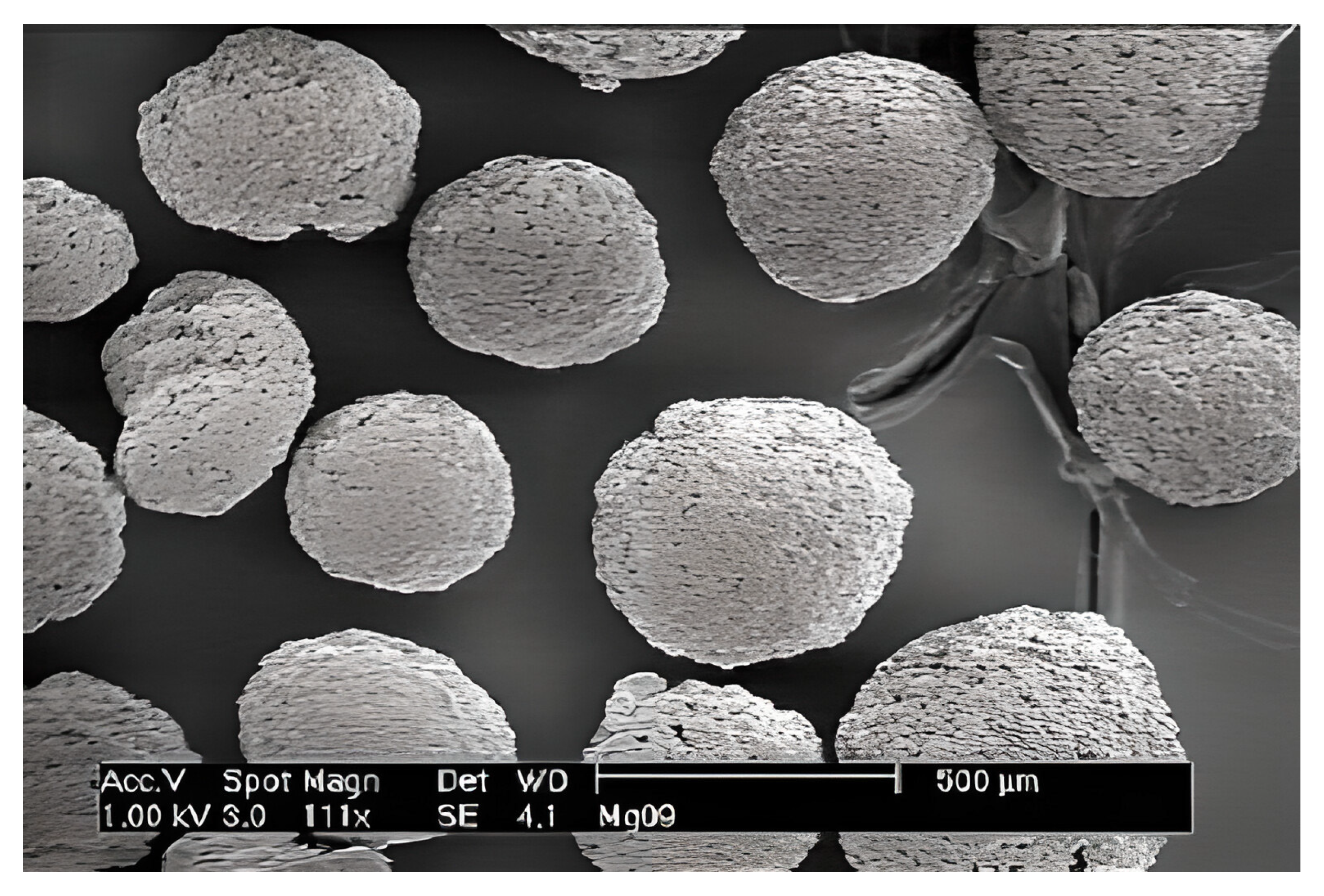 Polymers 15 03095 g002 Polymers 15 03095 g002